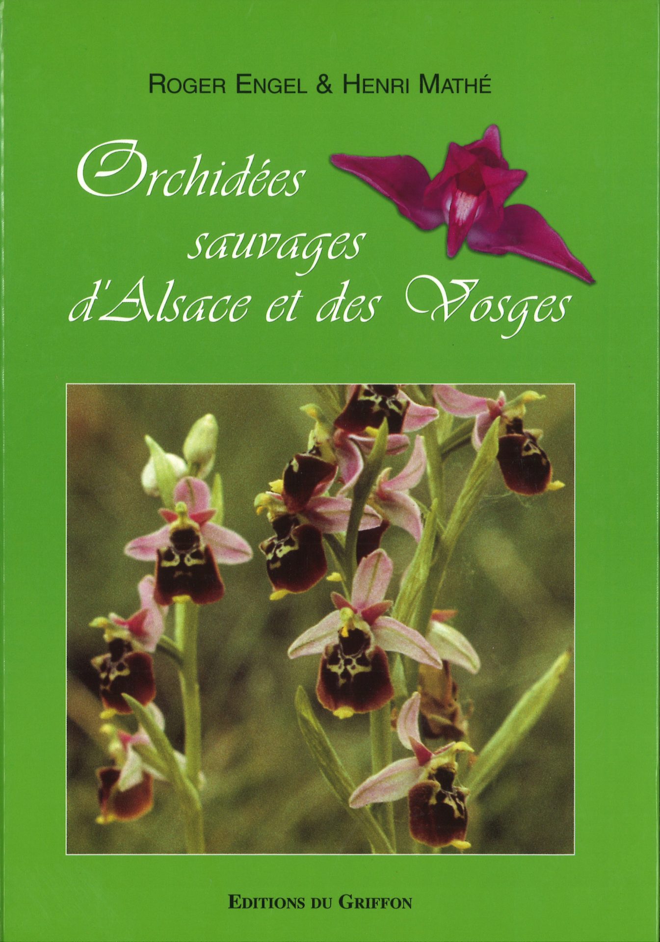 Orchidées sauvages d'Alsace et des Vosges