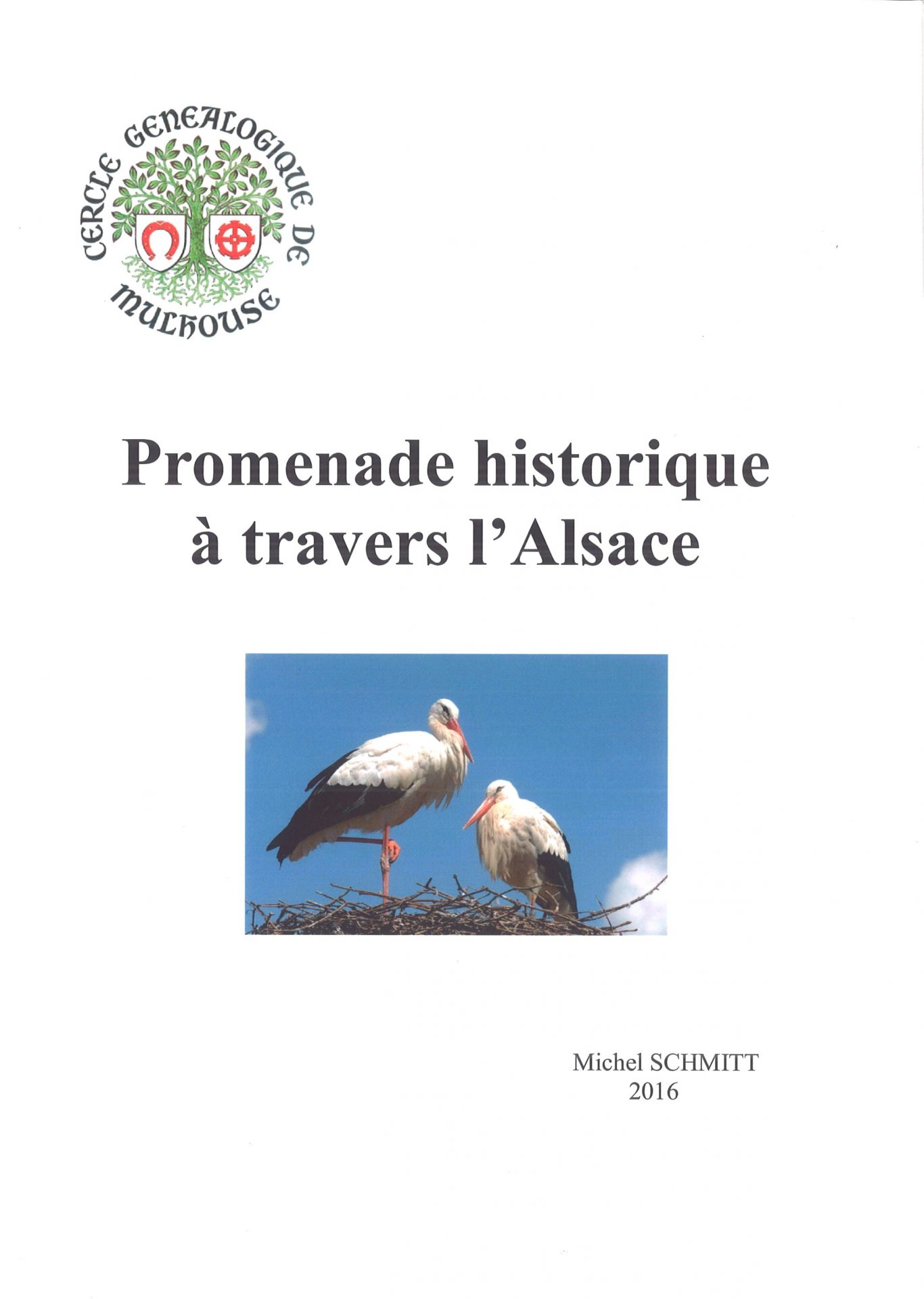Promenade historique à travers l'Alsace