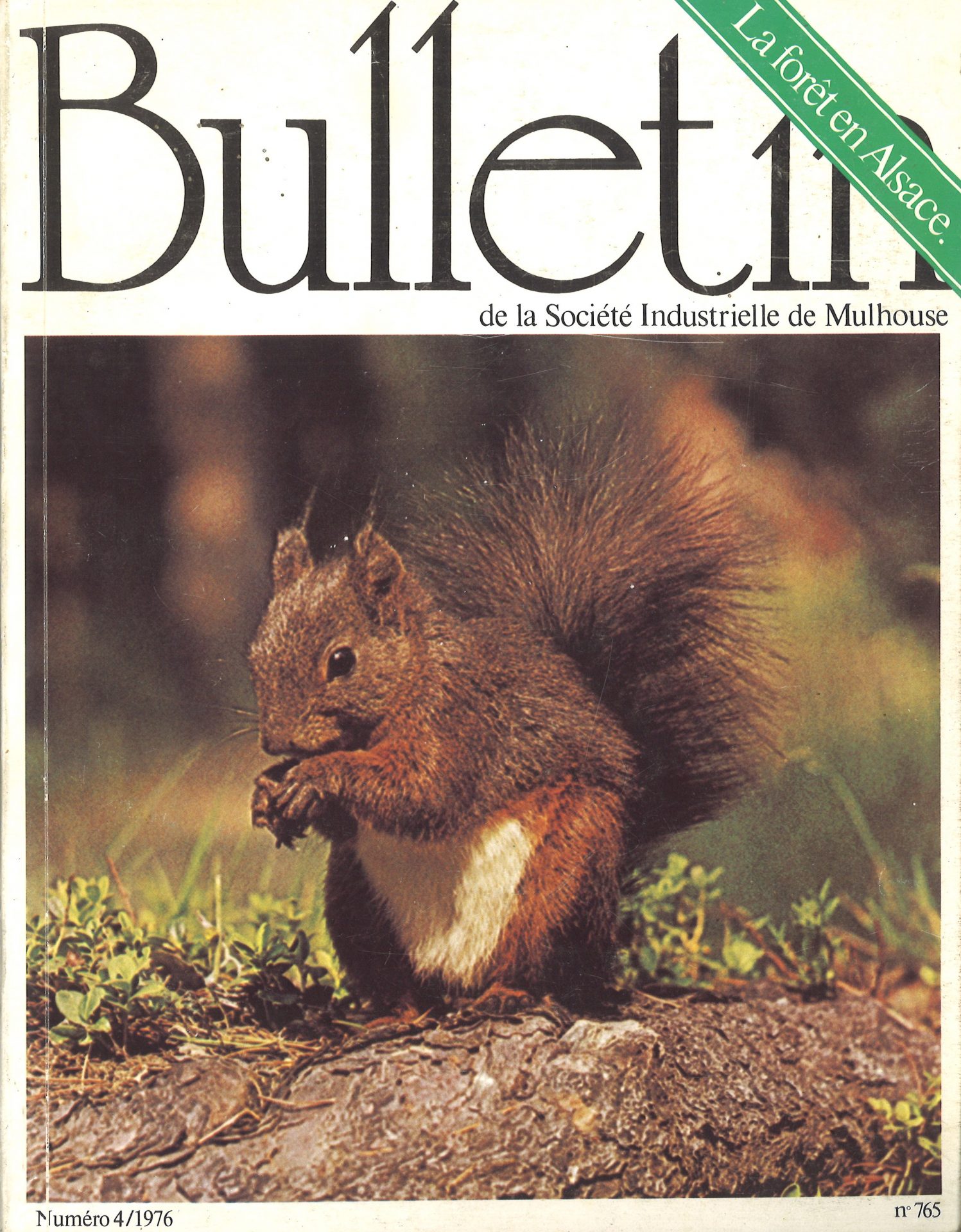 Bulletin de la Société Industrielle de Mulhouse - La forêt en Alsace