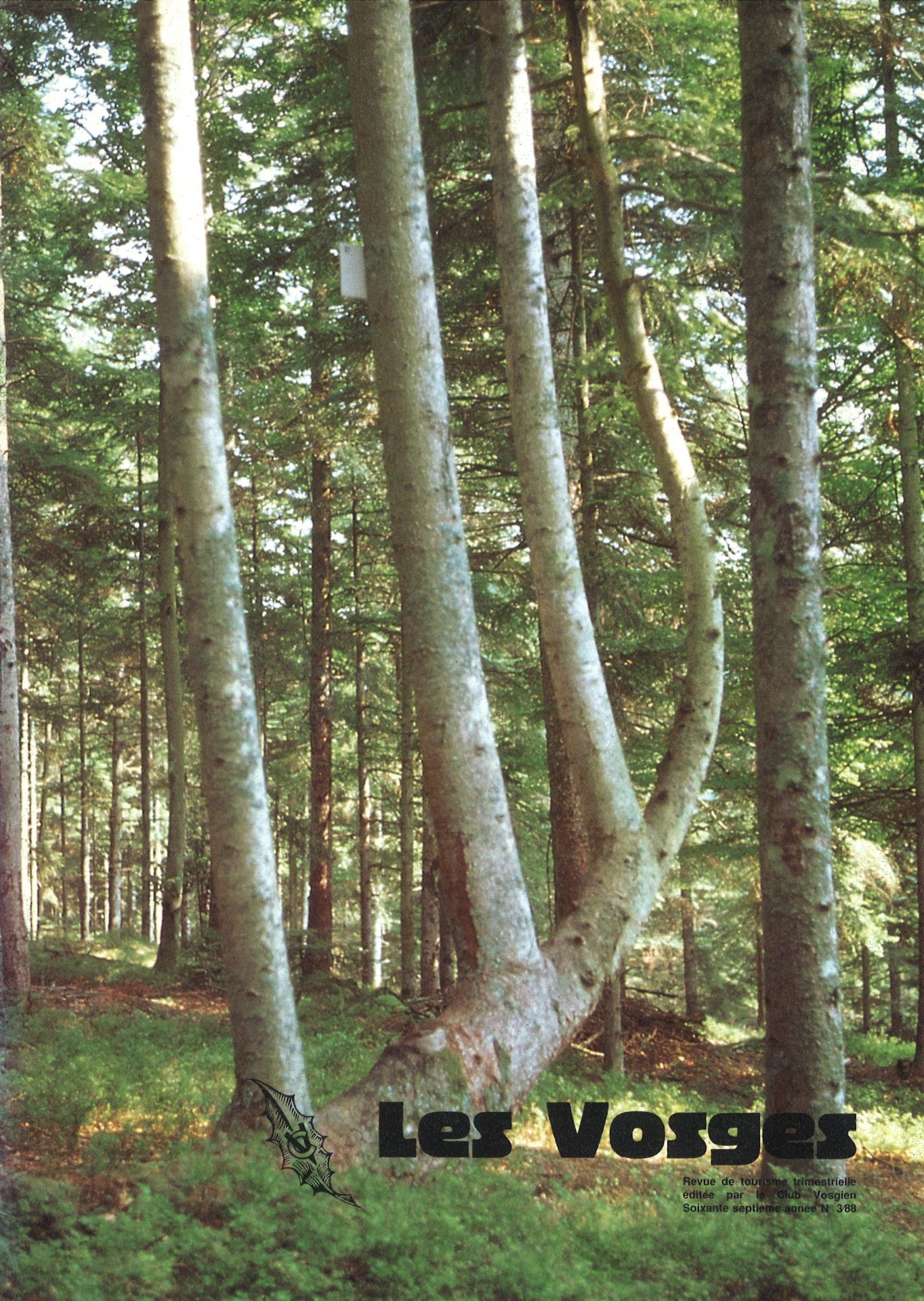 Les Vosges