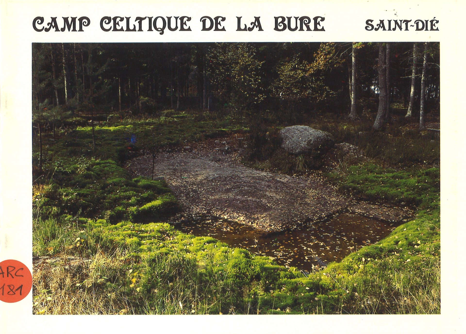 Camp celtique de la Bure