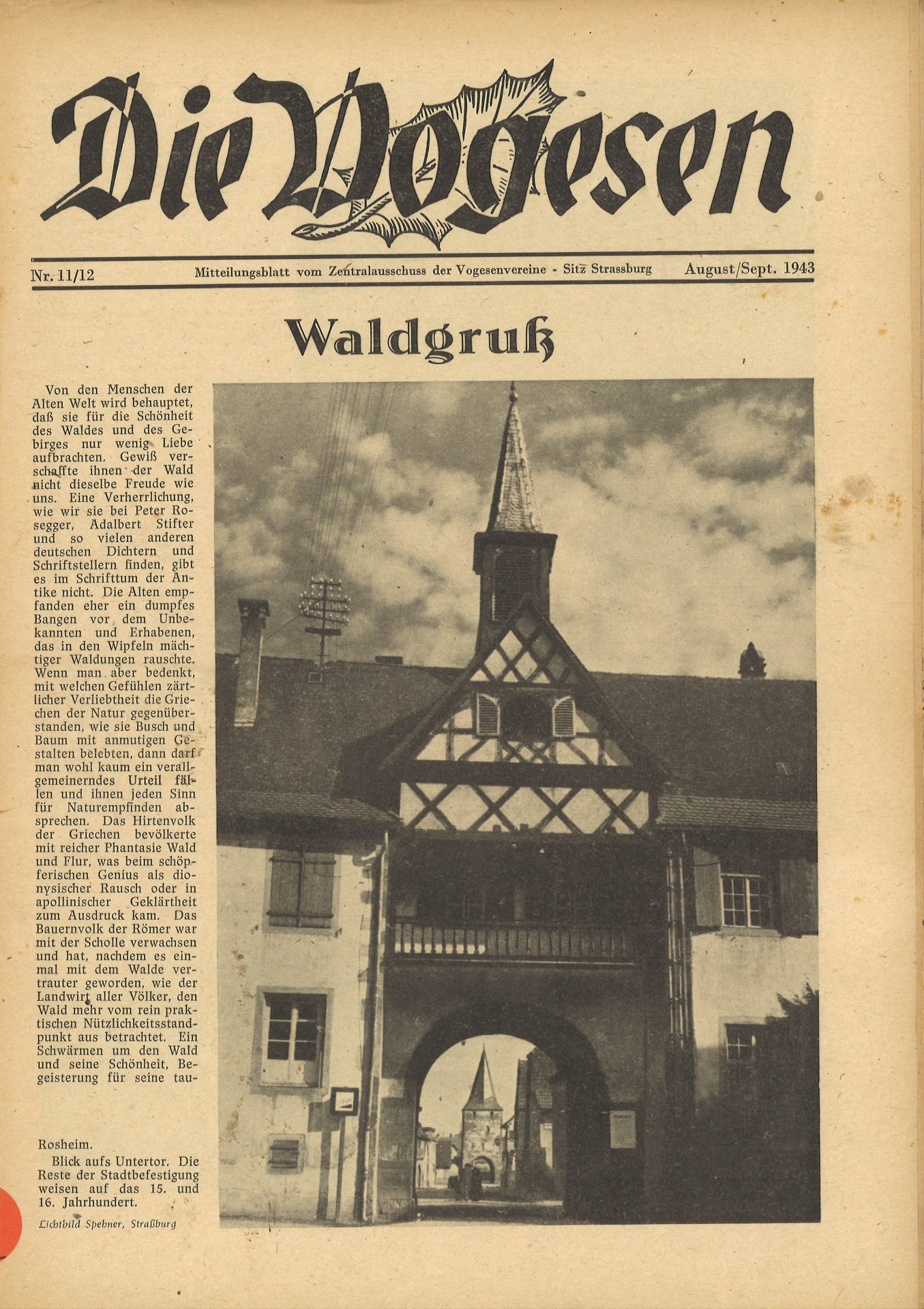 Die Vogesen