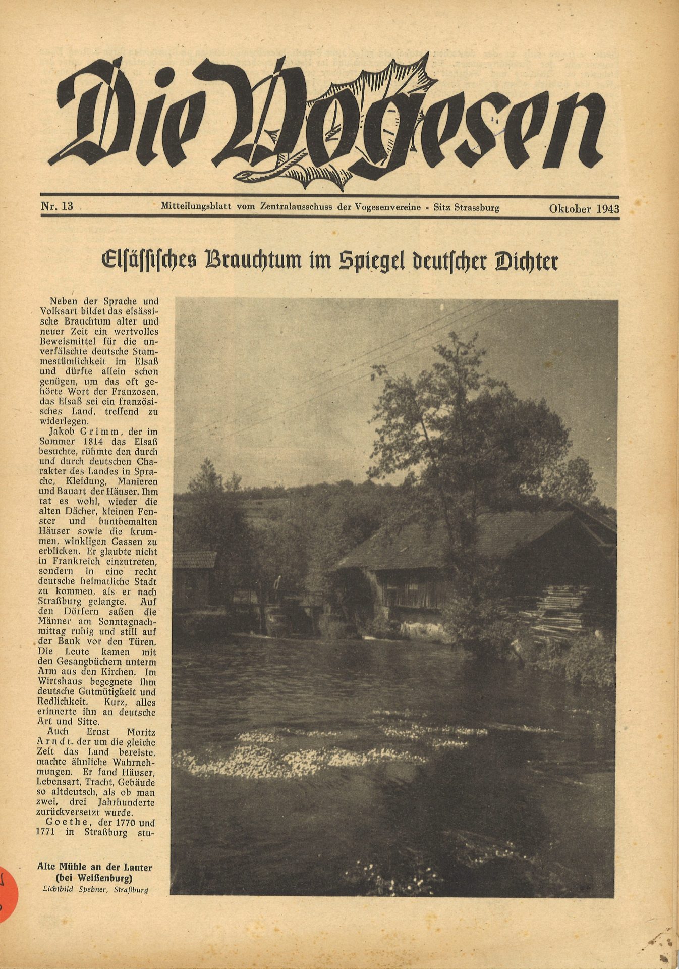 Die Vogesen