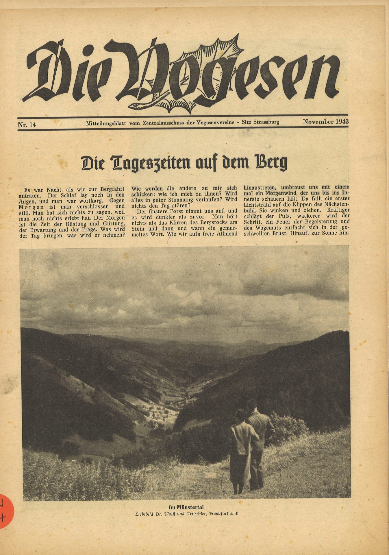 Die Vogesen