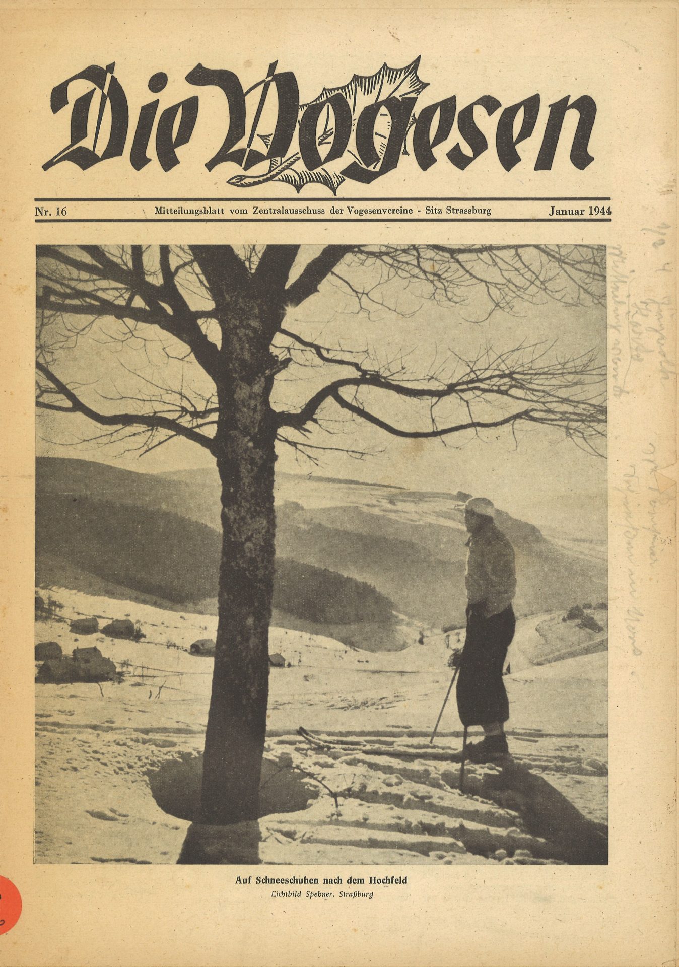 Die Vogesen
