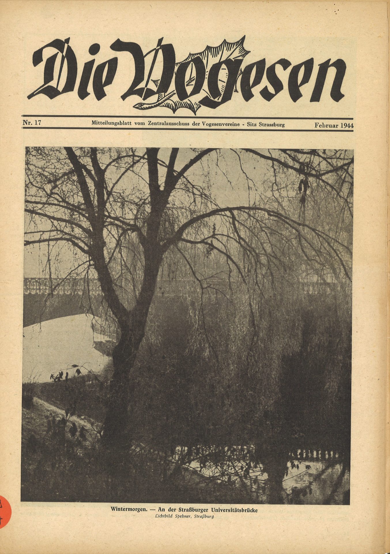 Die Vogesen