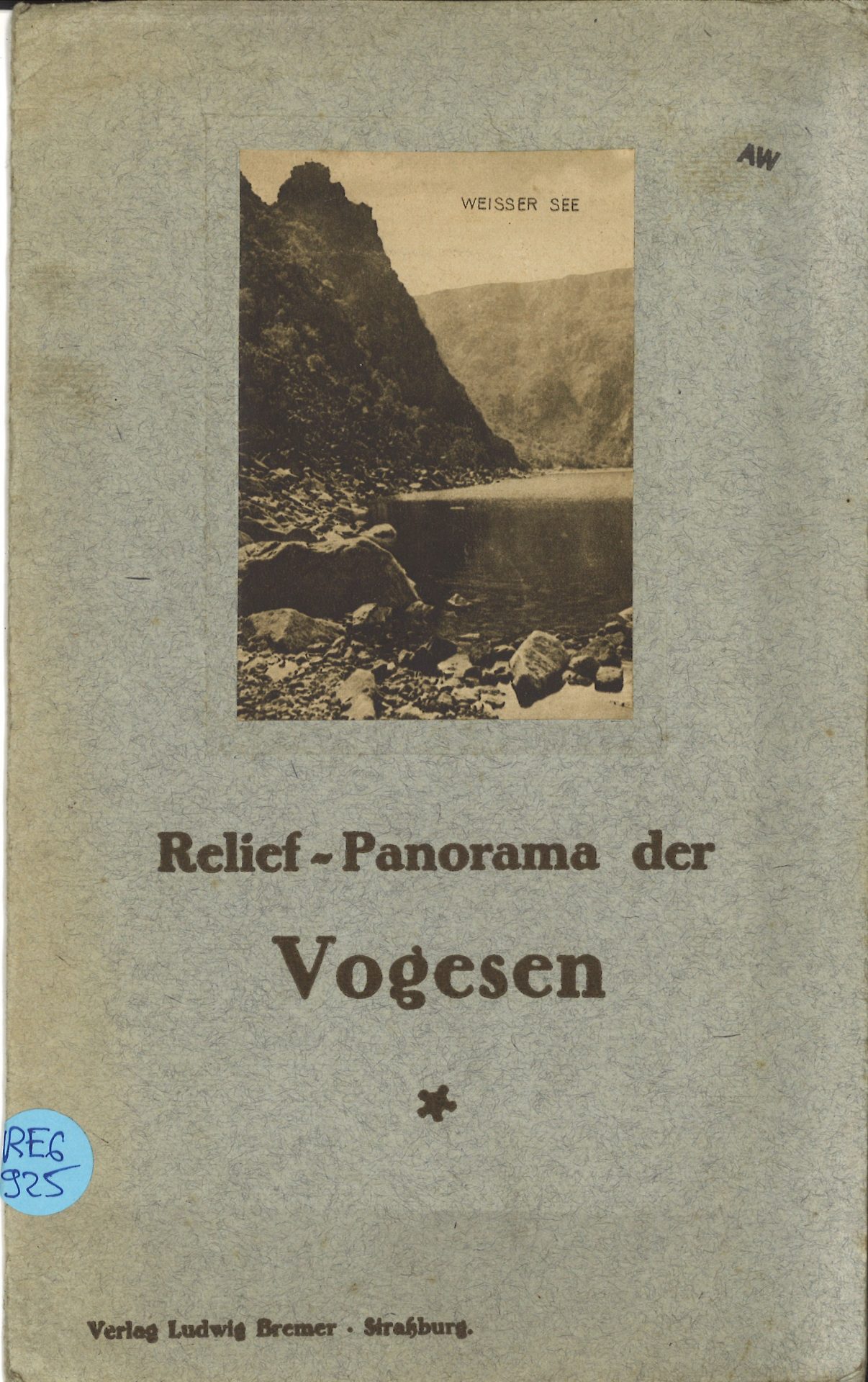 Relief-panorama der Vogesen