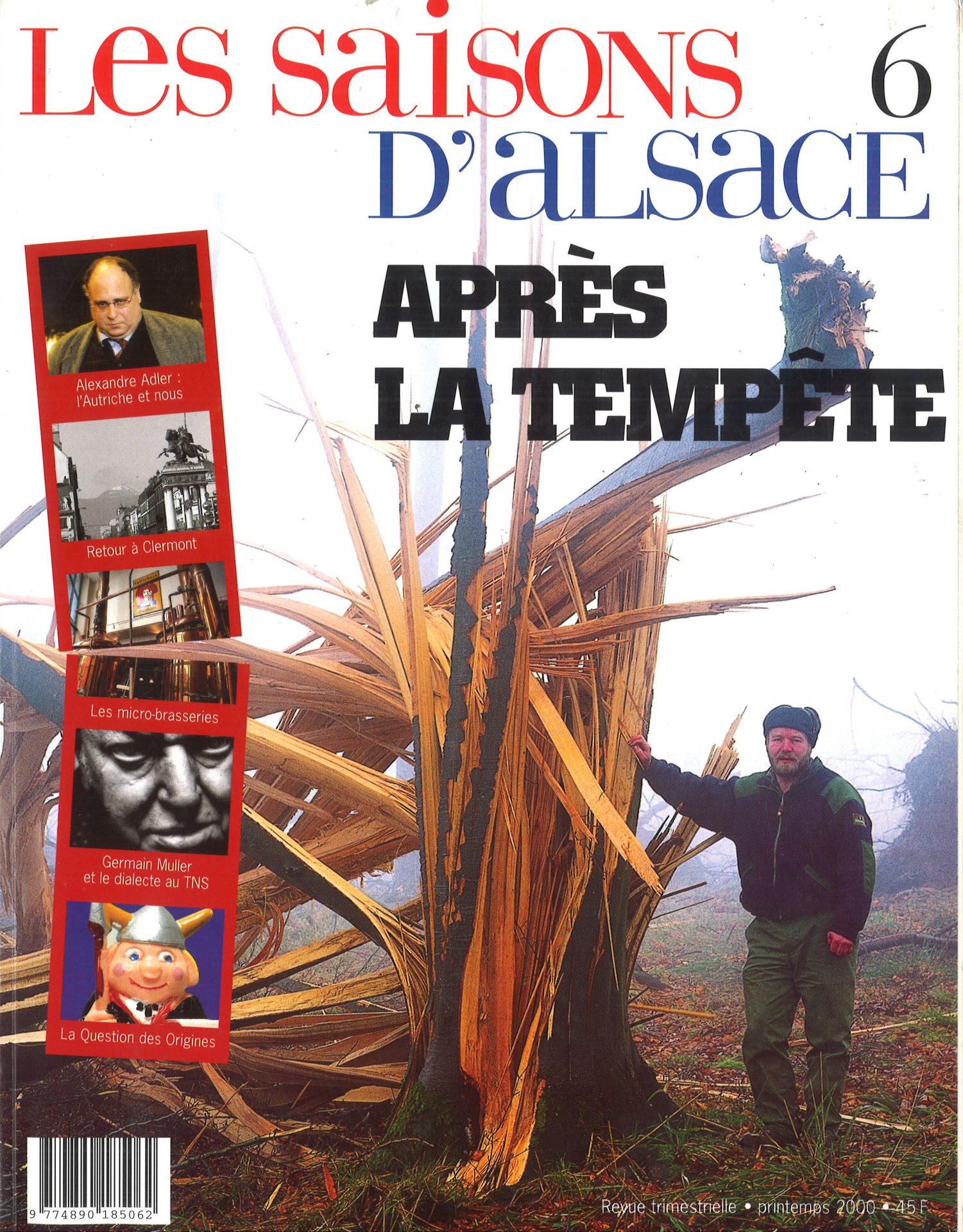 Les Saisons d'Alsace - Après la tempête