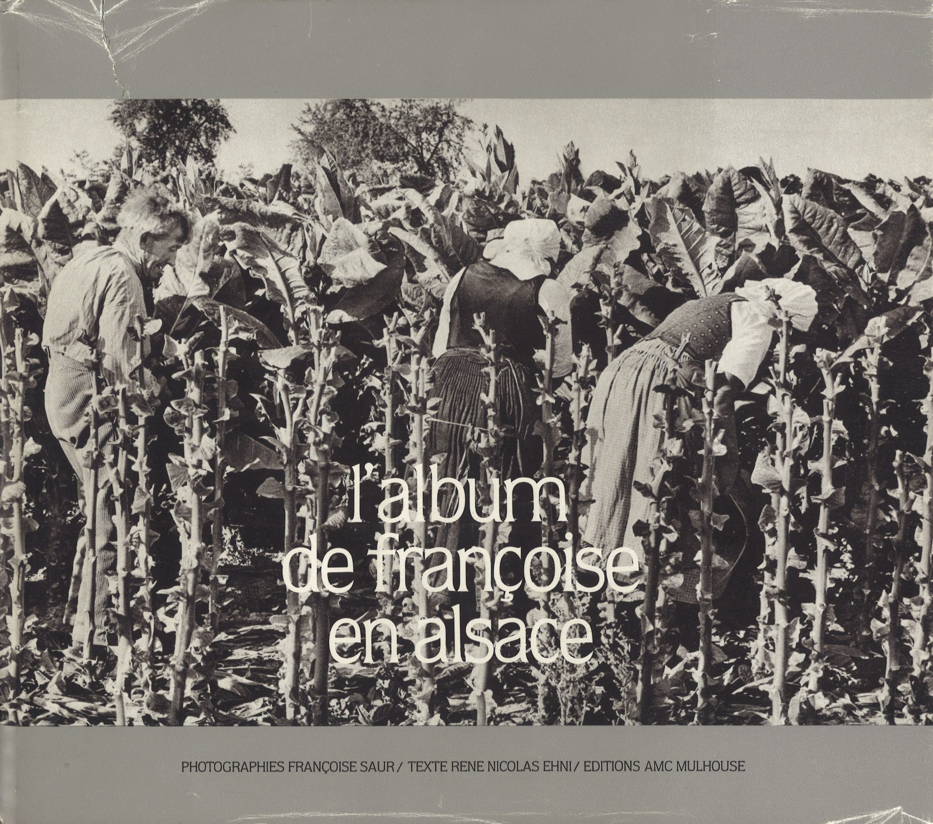 L'album de Françoise en Alsace