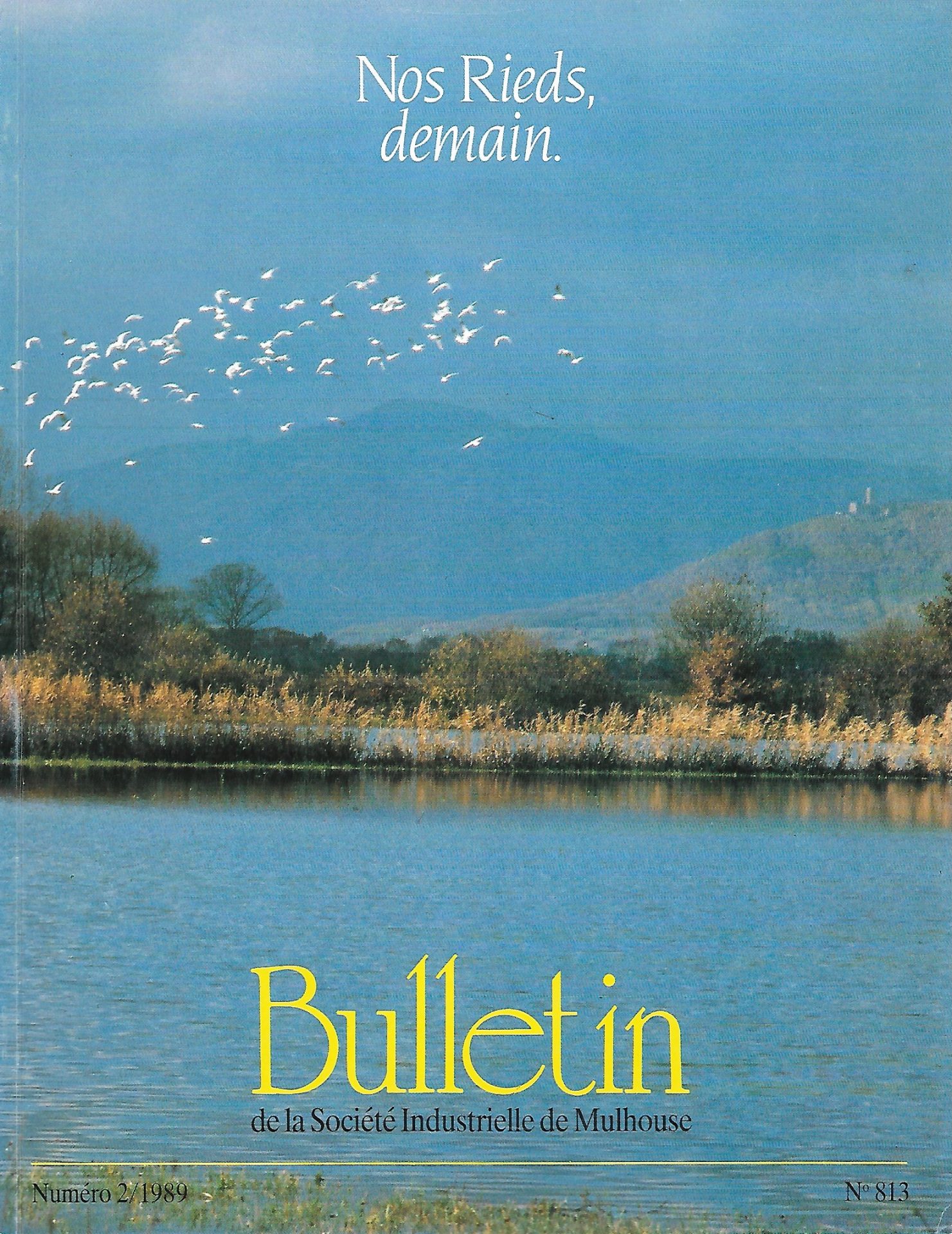 Bulletin de la Société Industrielle de Mulhouse : Nos Rieds, demain