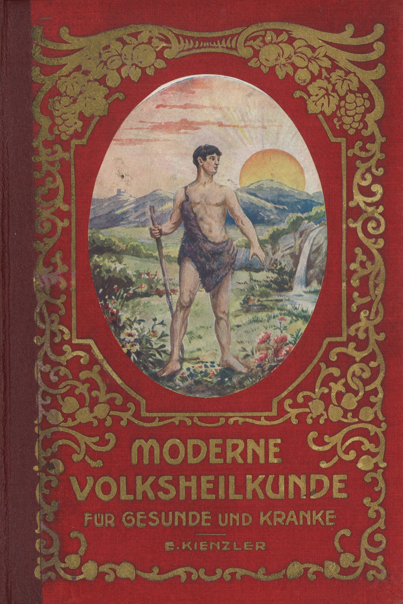 Moderne Volksheilkunde für Gesunde und Kranke