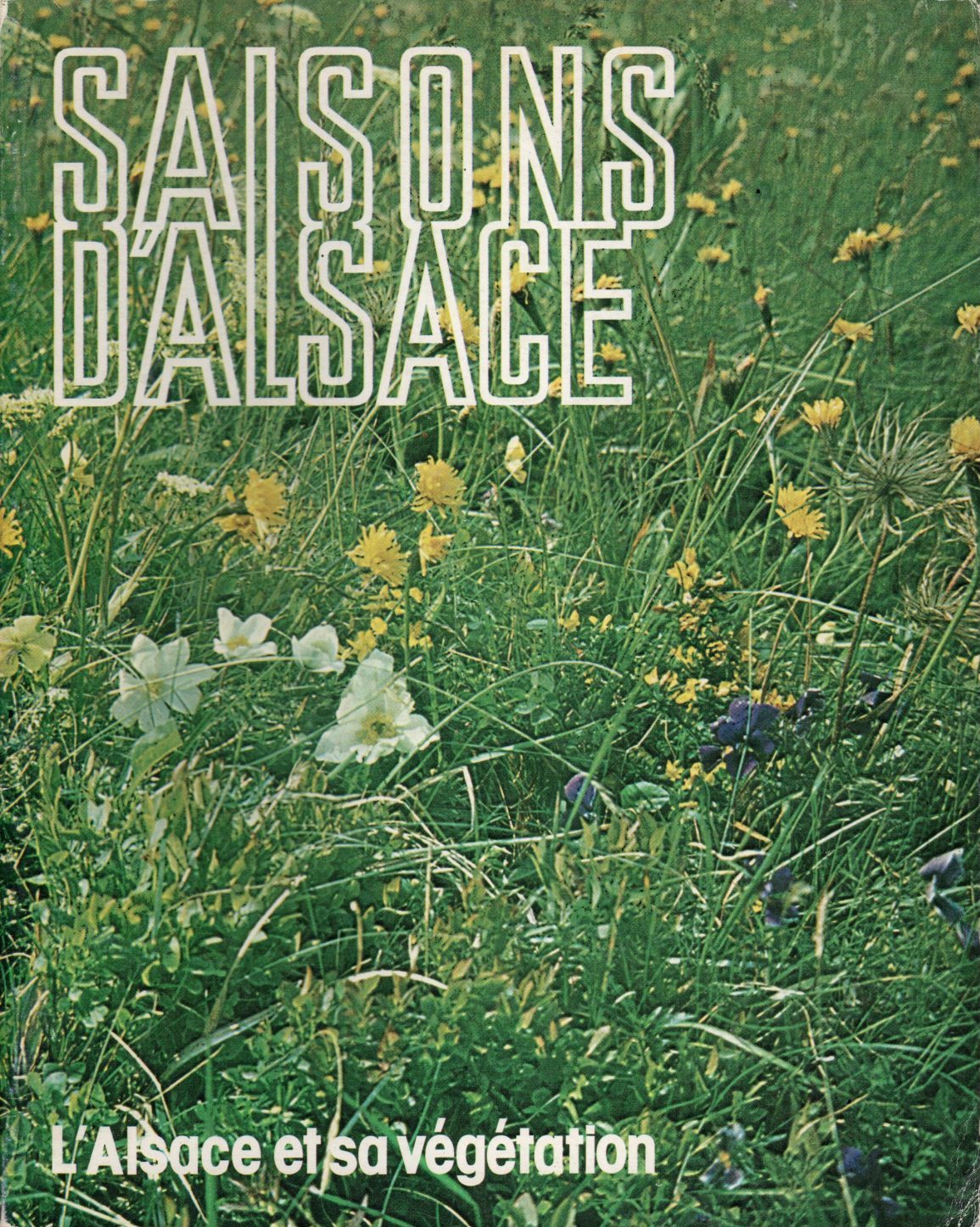 Saisons d'Alsace - L'Alsace et sa végétation