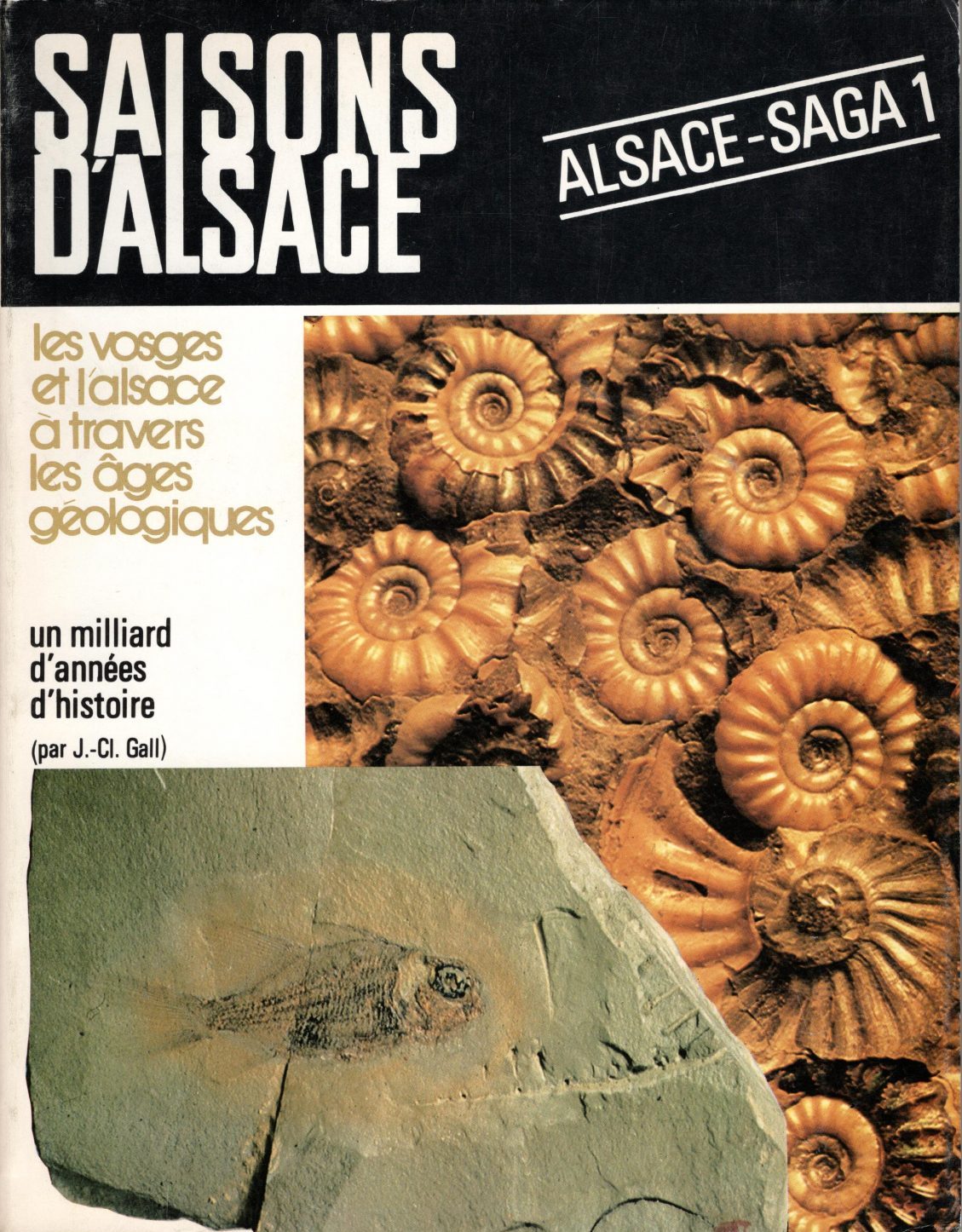 Saisons d'Alsace - Alsace-Saga 1, les Vosges et l'Alsace à travers les âges géologiques