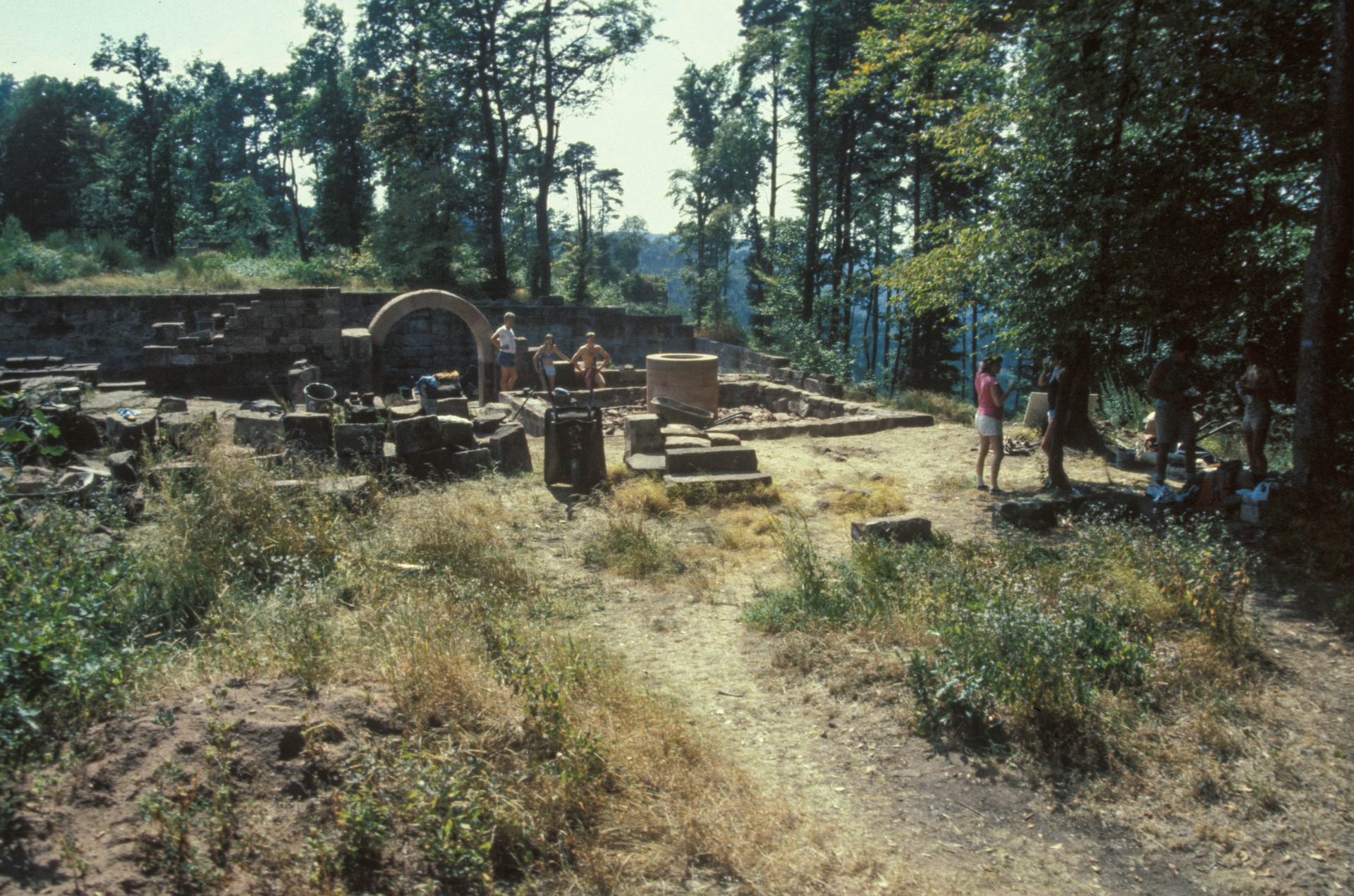 Diapositive - Daubenschlag-Warthenberg - 1988 - 11
