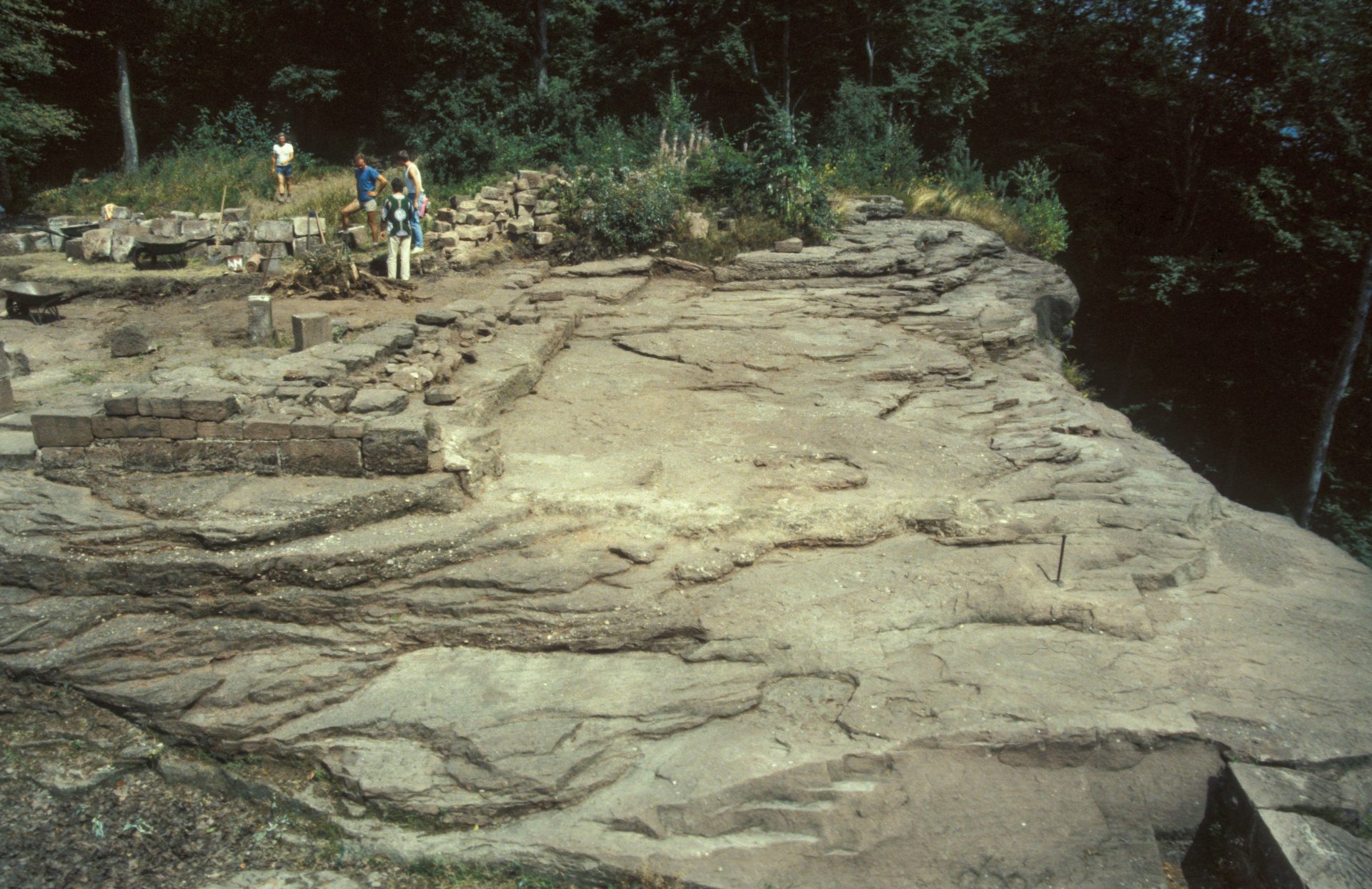 Diapositive - Daubenschlag-Warthenberg - 1988 - 14