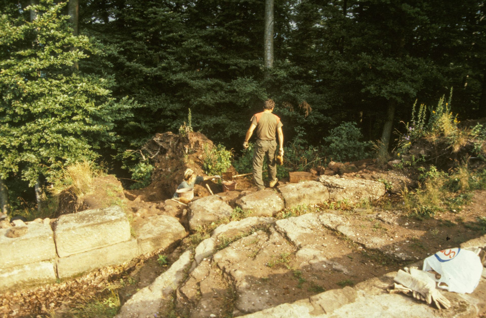 Diapositive - Daubenschlag-Warthenberg - 1989 - 08