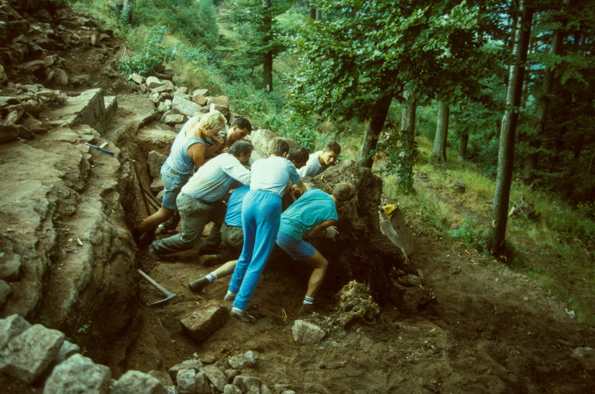 Diapositive - Daubenschlag-Warthenberg - 1989 - 10