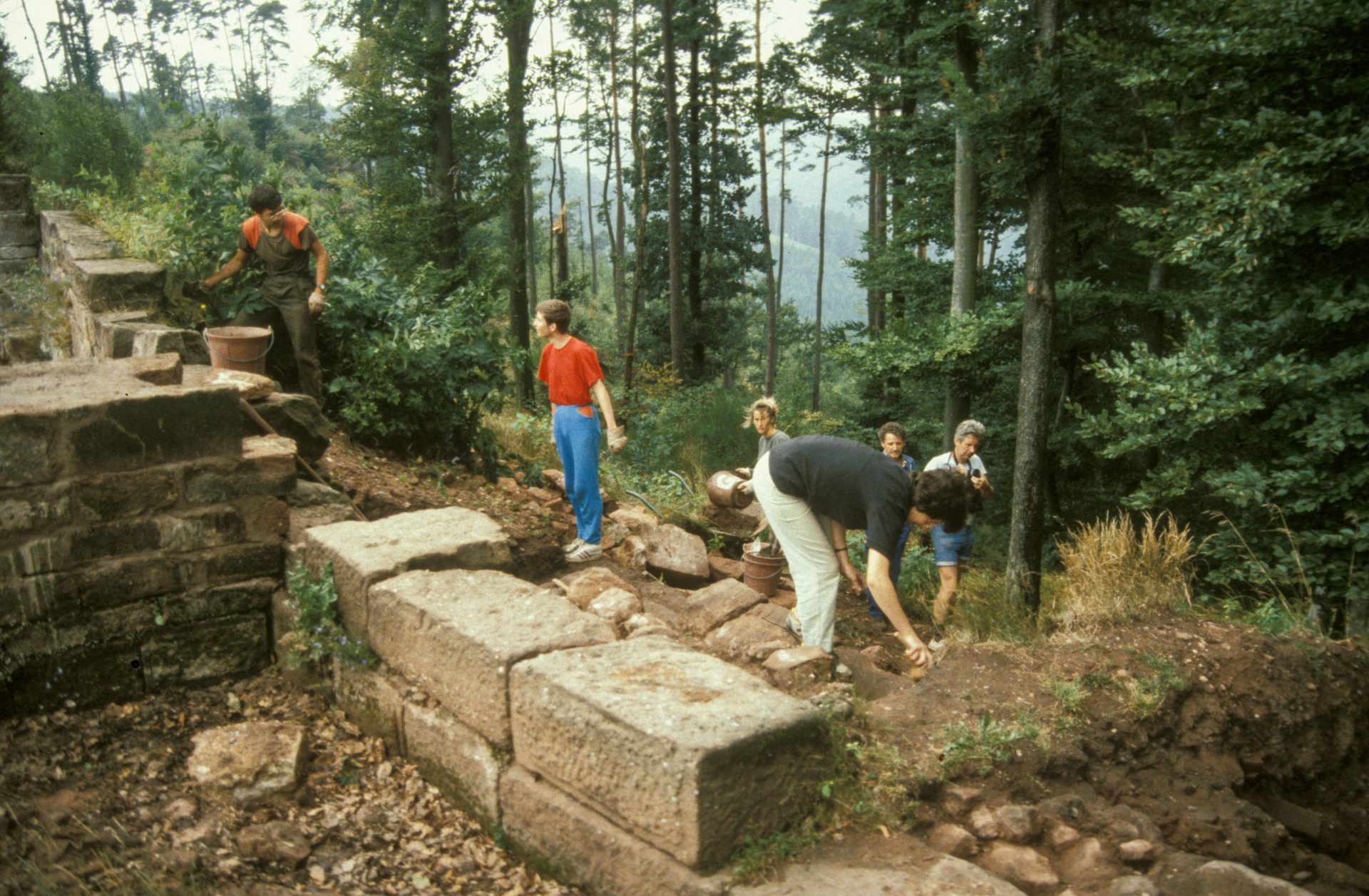 Diapositive - Daubenschlag-Warthenberg - 1989 - 16