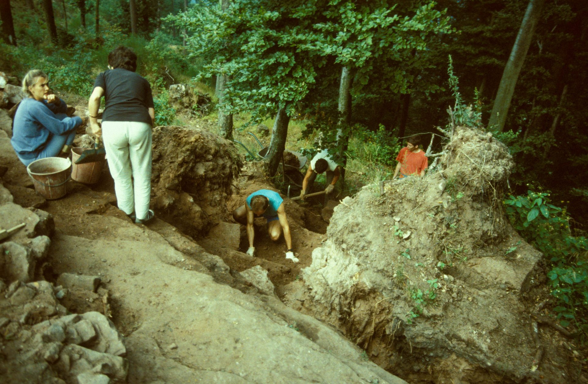 Diapositive - Daubenschlag-Warthenberg - 1989 - 29