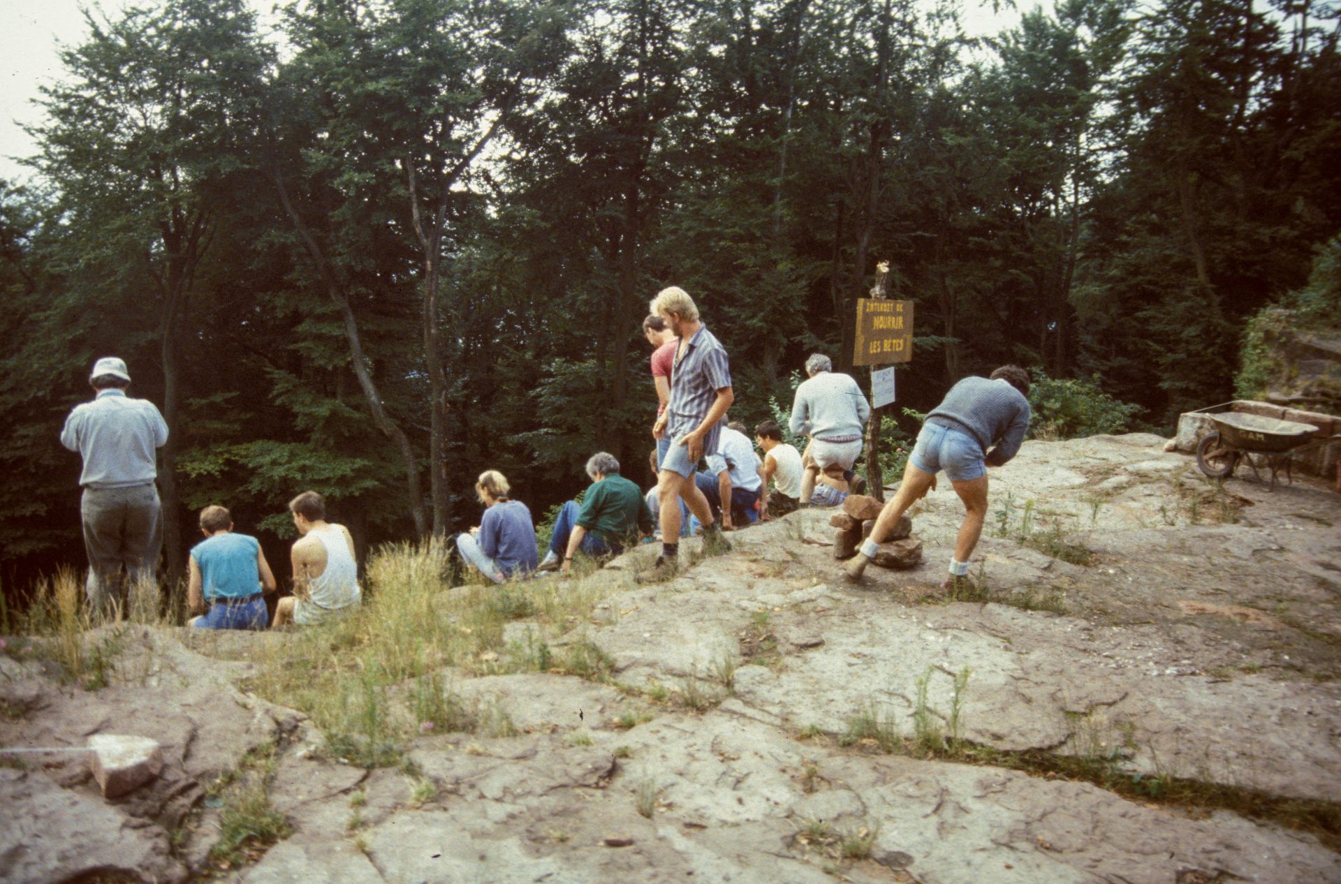 Diapositive - Daubenschlag-Warthenberg - 1989 - 31
