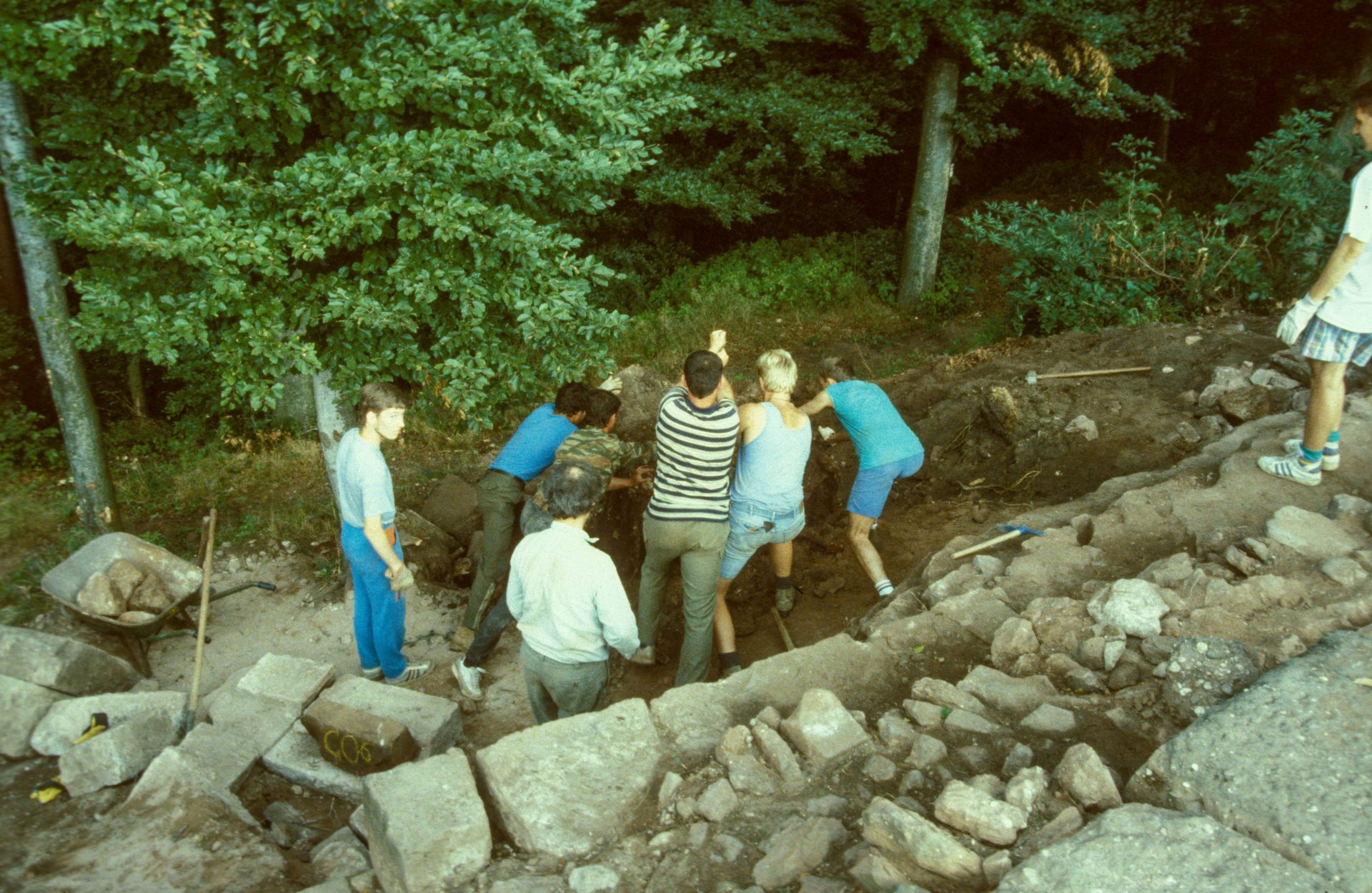 Diapositive - Daubenschlag-Warthenberg - 1989 - 47