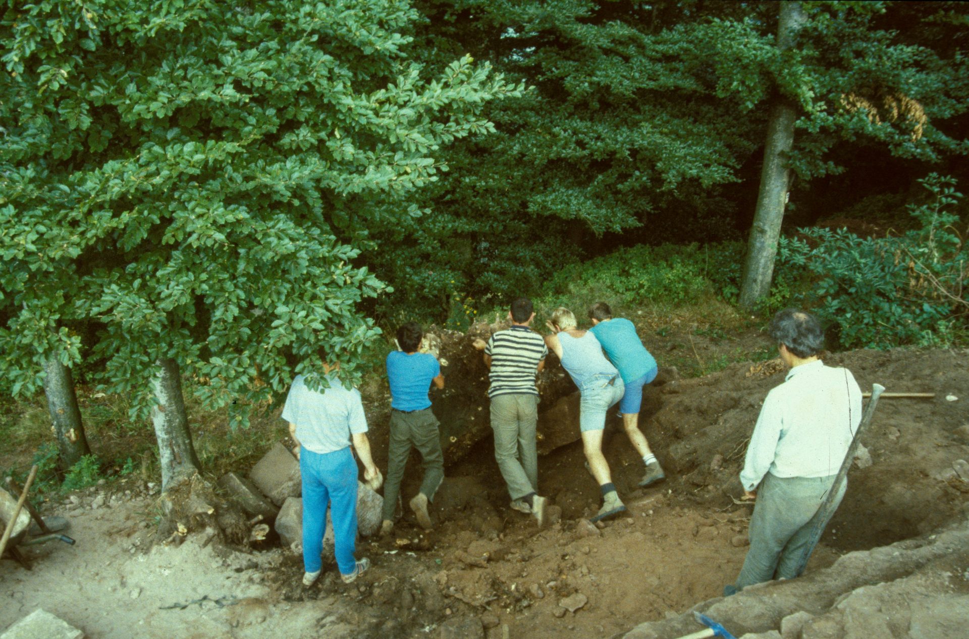 Diapositive - Daubenschlag-Warthenberg - 1989 - 48
