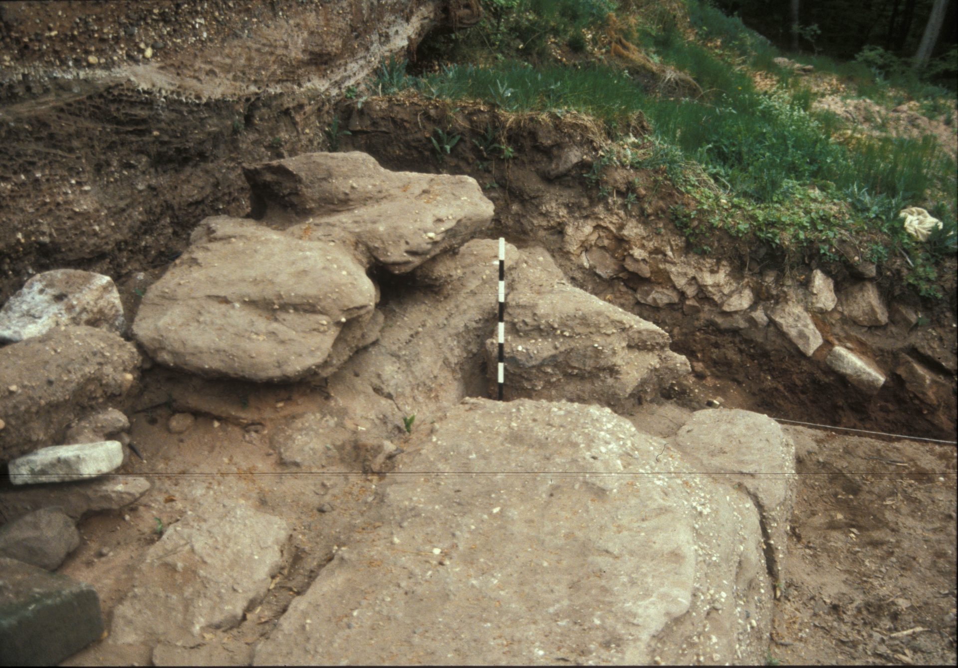Diapositive - Daubenschlag-Warthenberg - 1990 - 1C
