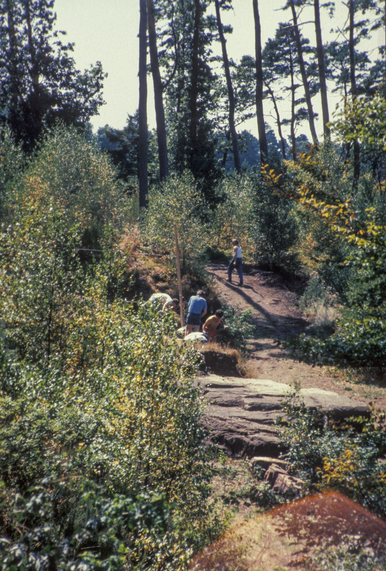 Diapositive - Daubenschlag-Warthenberg - 1990 - 30