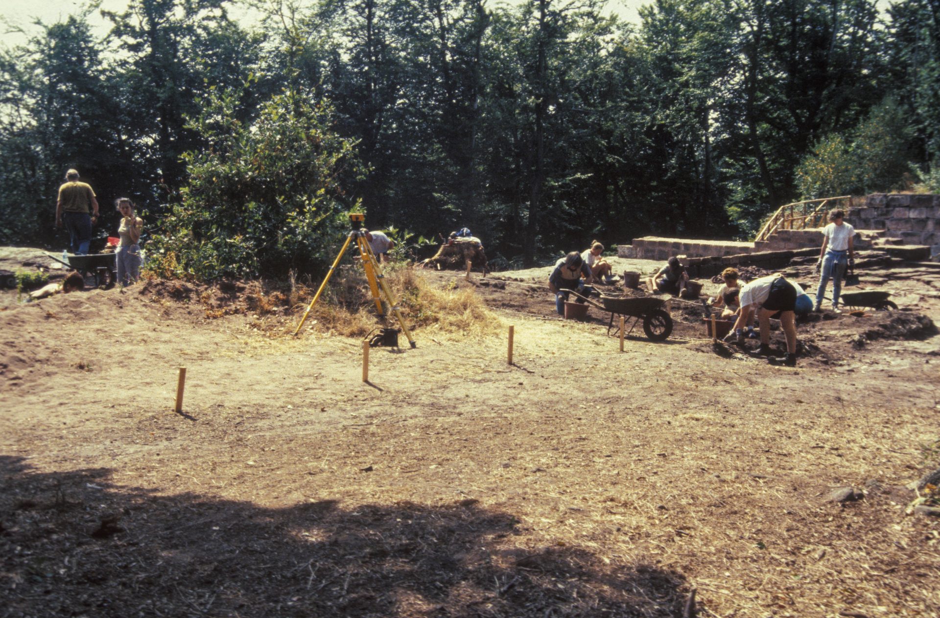 Diapositive - Daubenschlag-Warthenberg - 1990 - 34