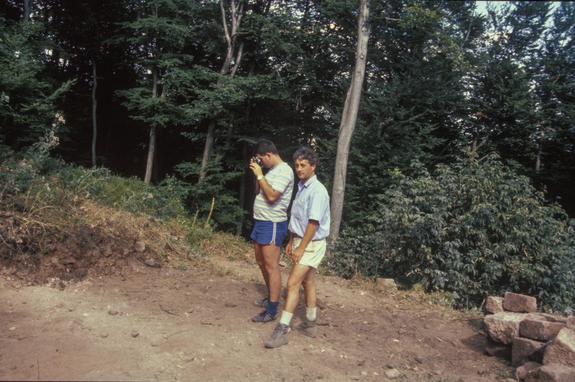 Diapositive - Daubenschlag-Warthenberg - 1990 - 51