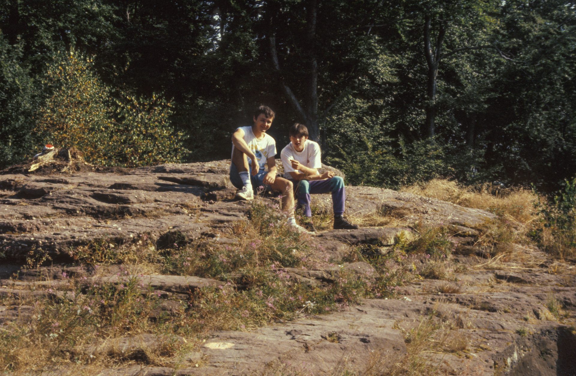 Diapositive - Daubenschlag-Warthenberg - 1990 - 57