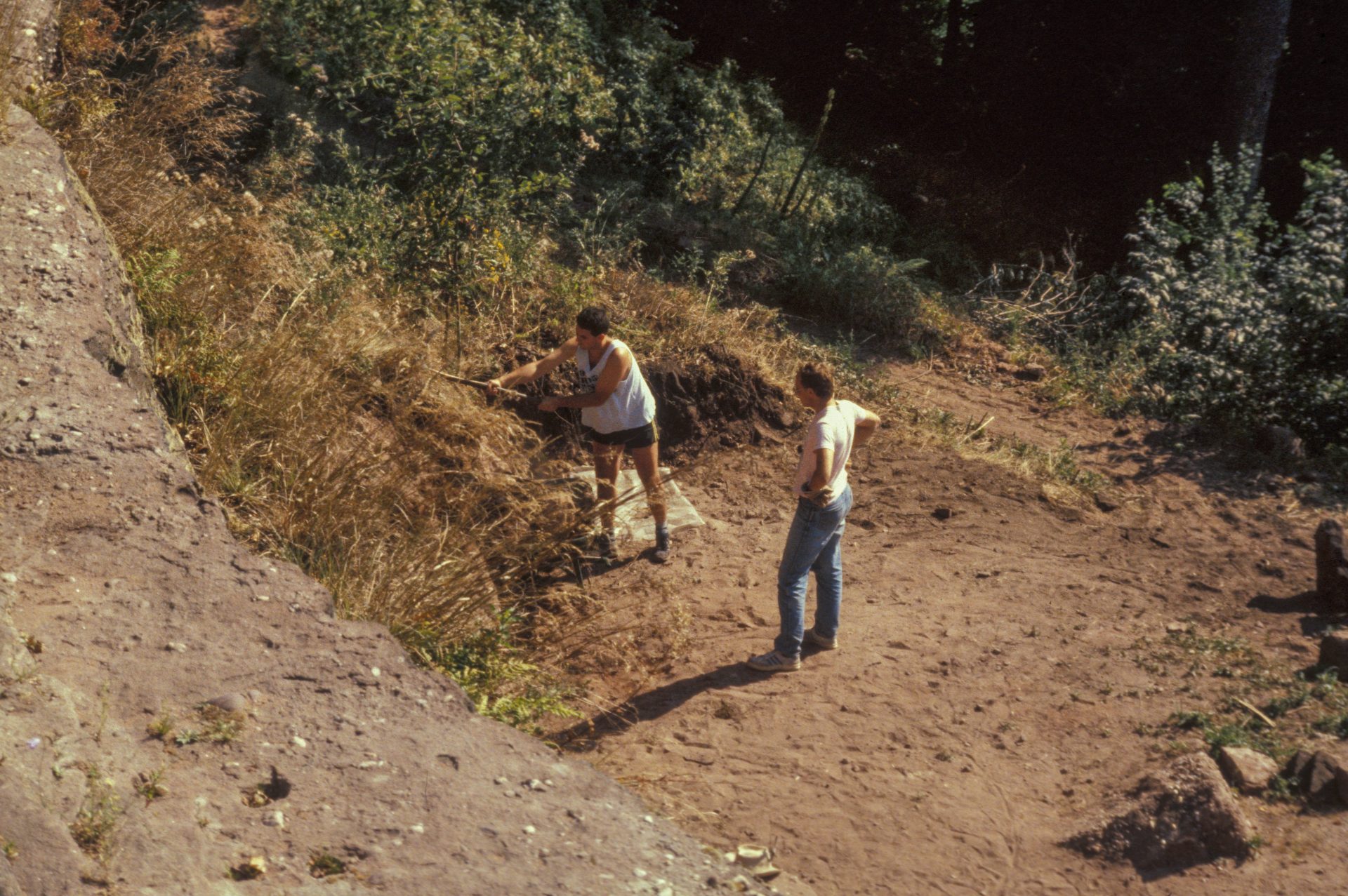 Diapositive - Daubenschlag-Warthenberg - 1990 - 59