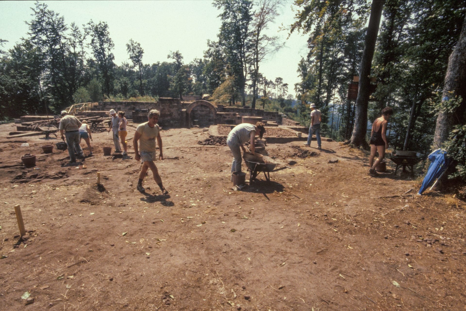 Diapositive - Daubenschlag-Warthenberg - 1990 - 61