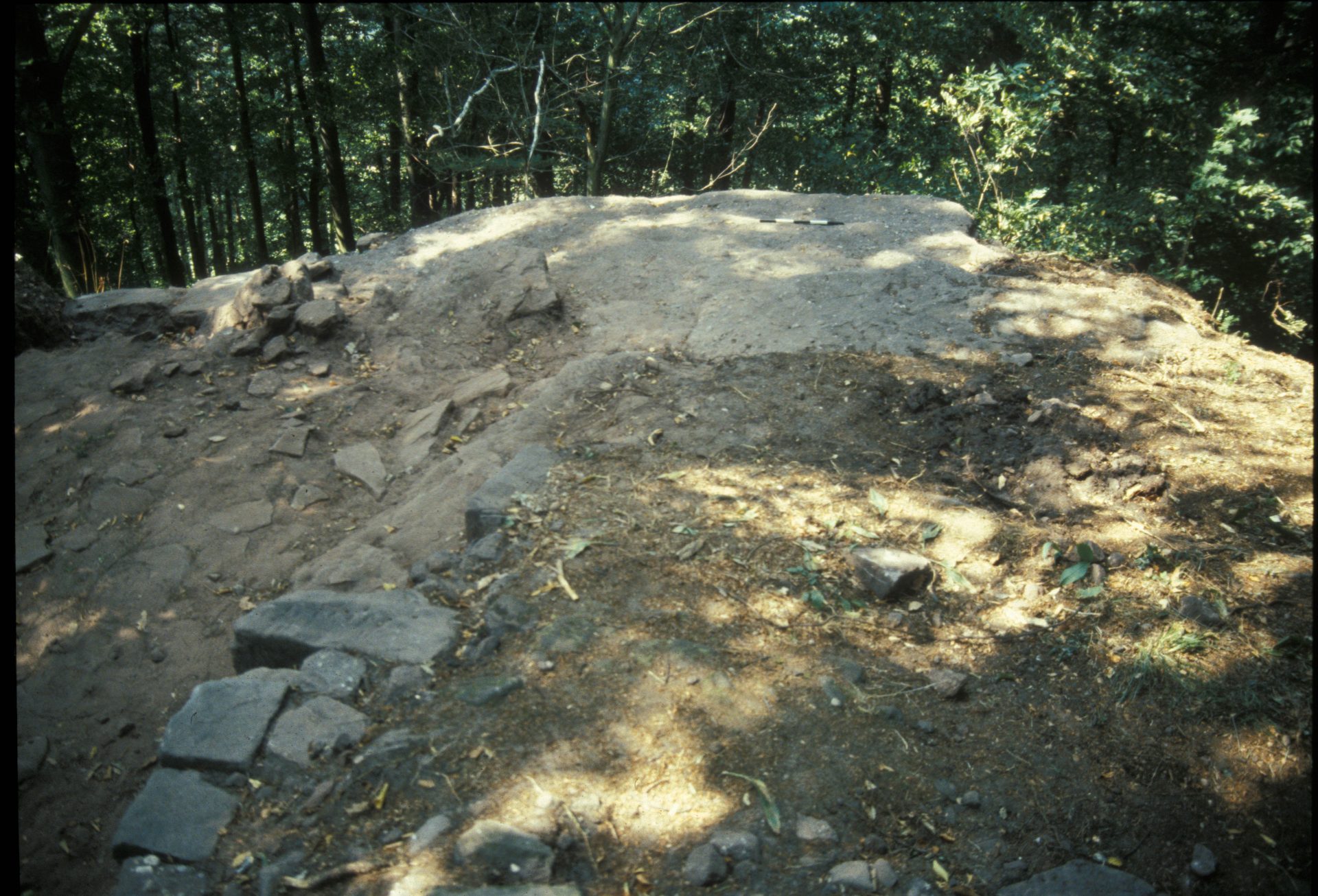 Diapositive - Daubenschlag-Warthenberg - 1990 - 1