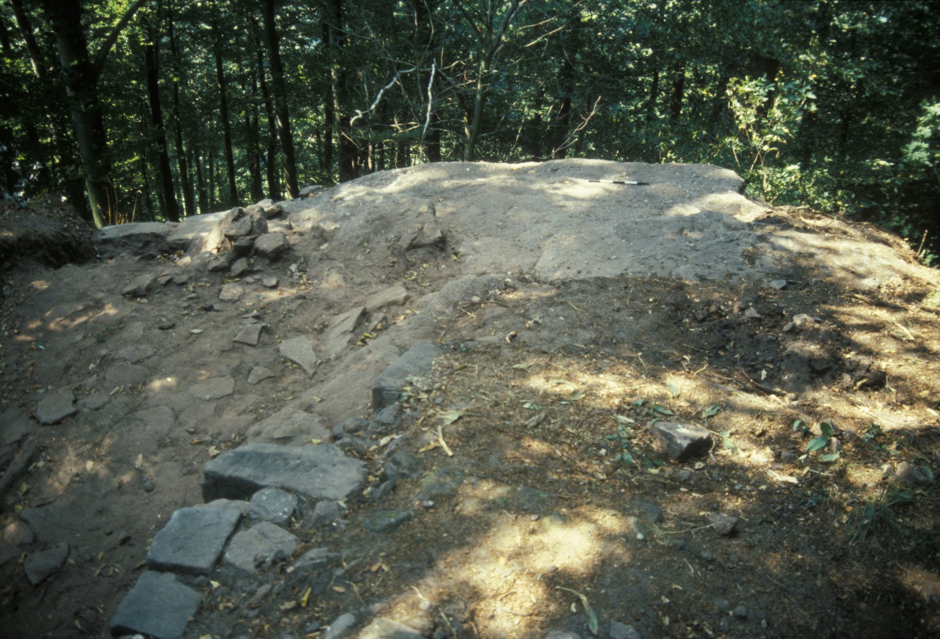 Diapositive - Daubenschlag-Warthenberg - 1990 - 2