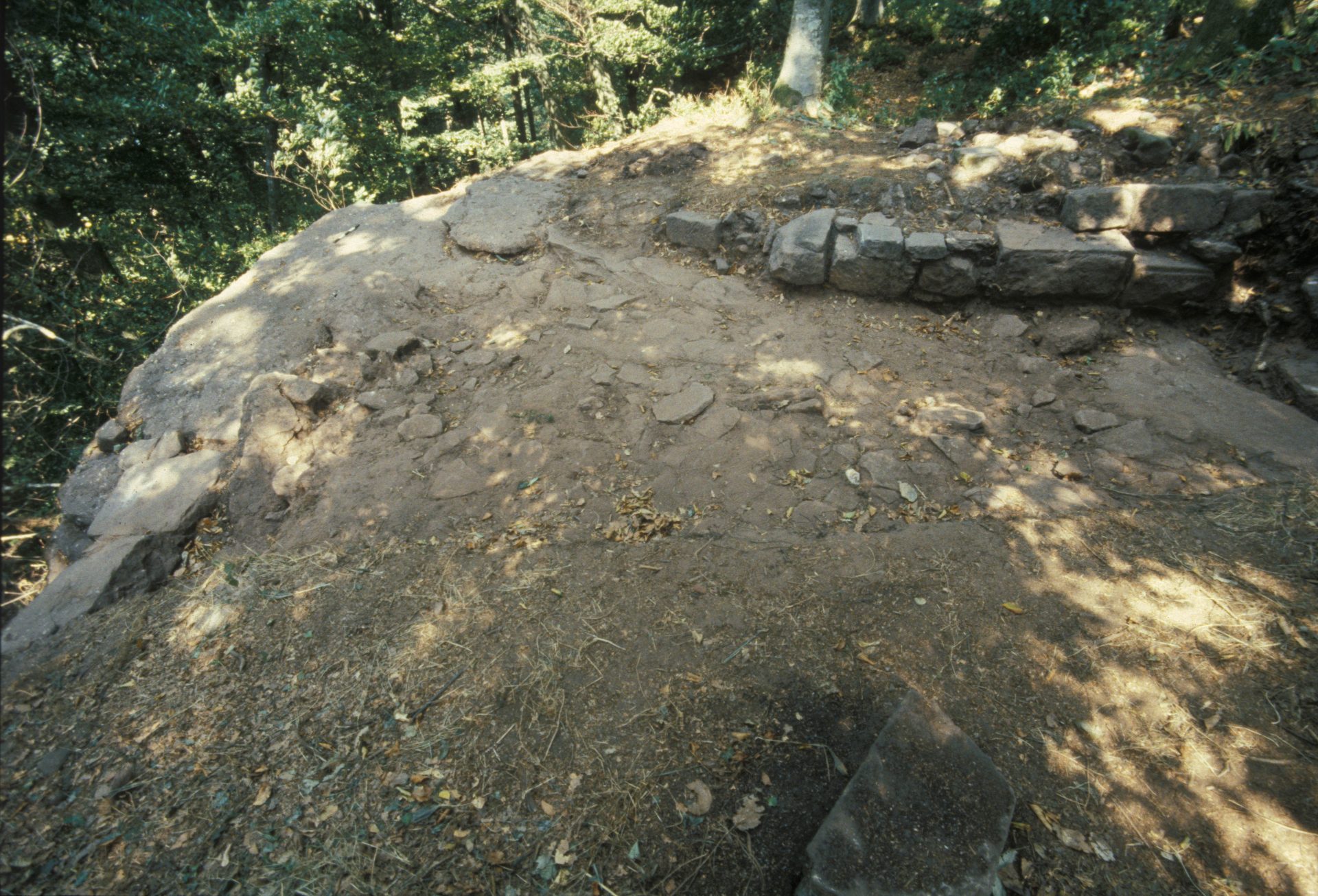 Diapositive - Daubenschlag-Warthenberg - 1990 - 1A