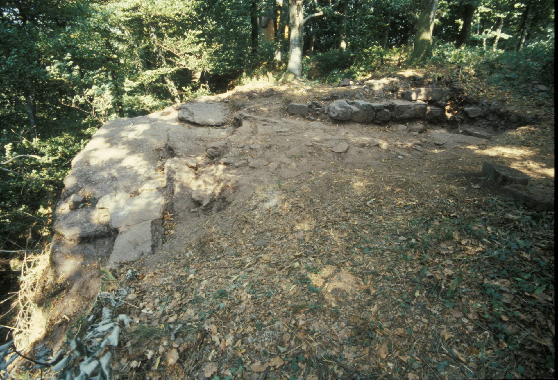 Diapositive - Daubenschlag-Warthenberg - 1990 - 2A