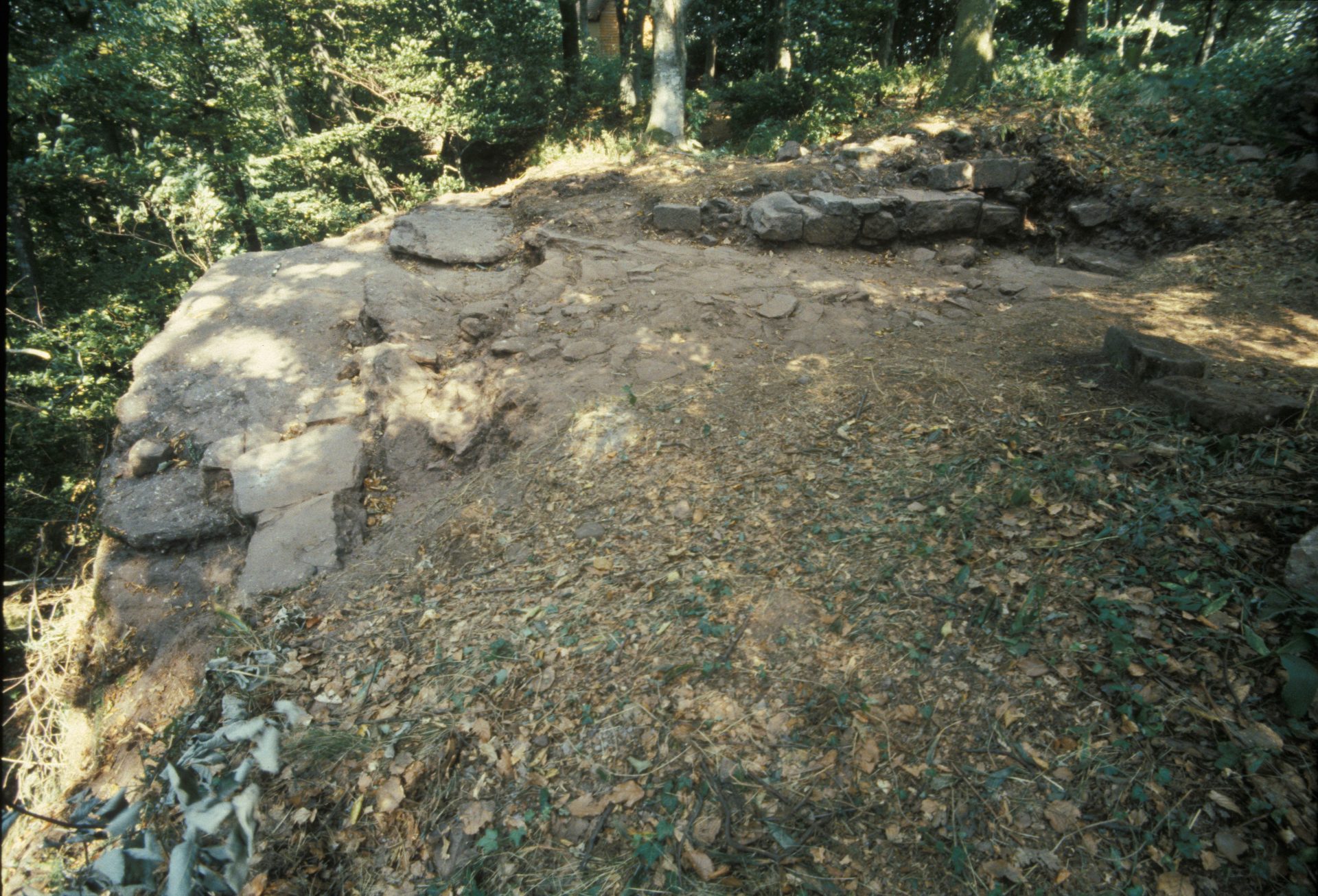 Diapositive - Daubenschlag-Warthenberg - 1990 - 3