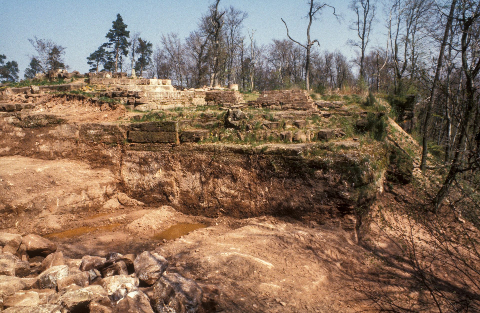 Diapositive - Daubenschlag-Warthenberg - 1988 - 03