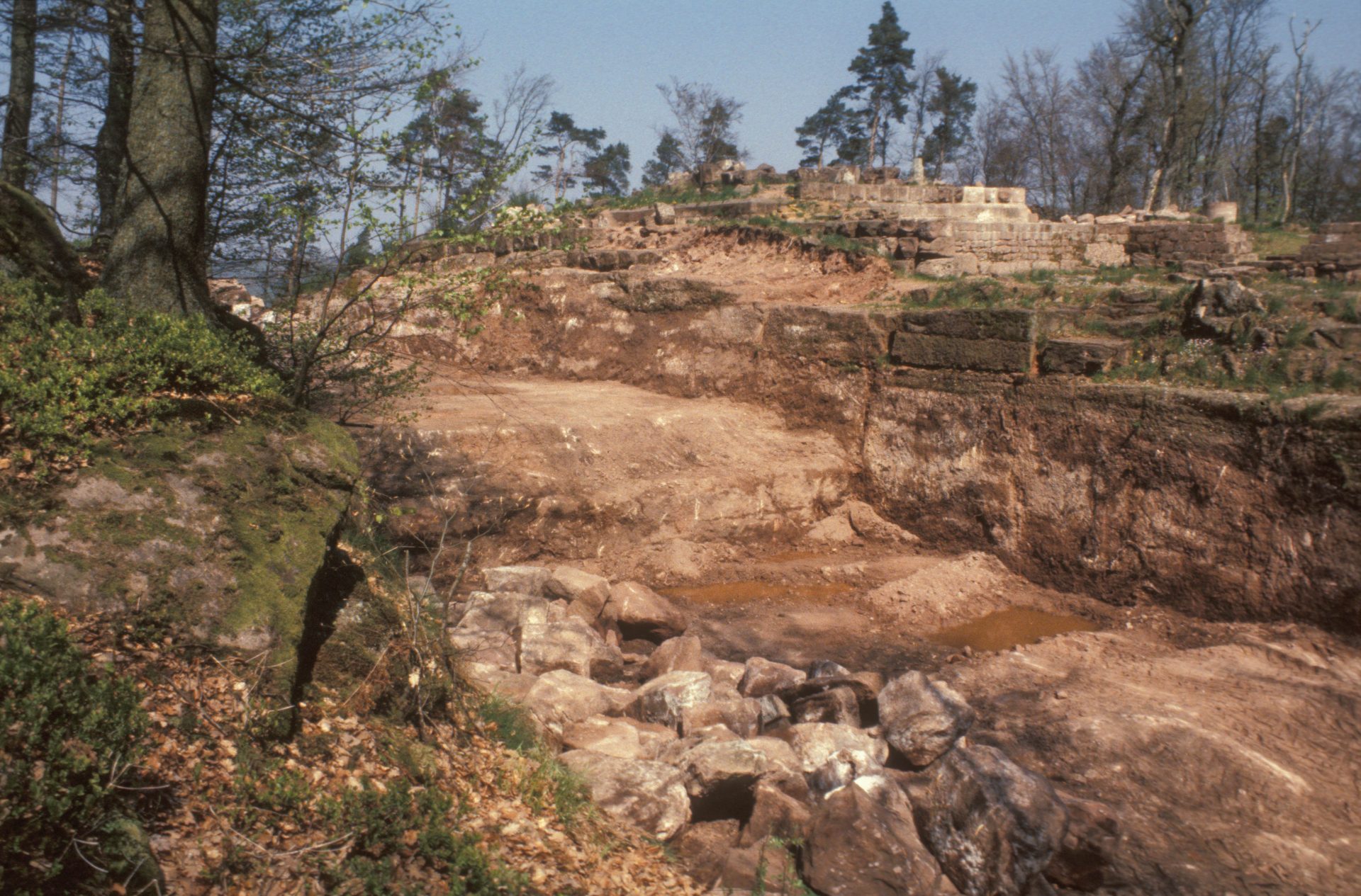 Diapositive - Daubenschlag-Warthenberg - 1988 - 04