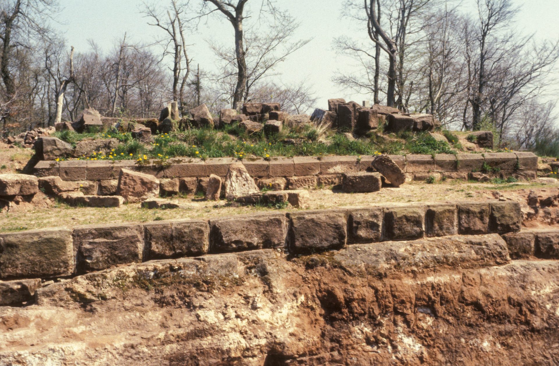 Diapositive - Daubenschlag-Warthenberg - 1988 - 11