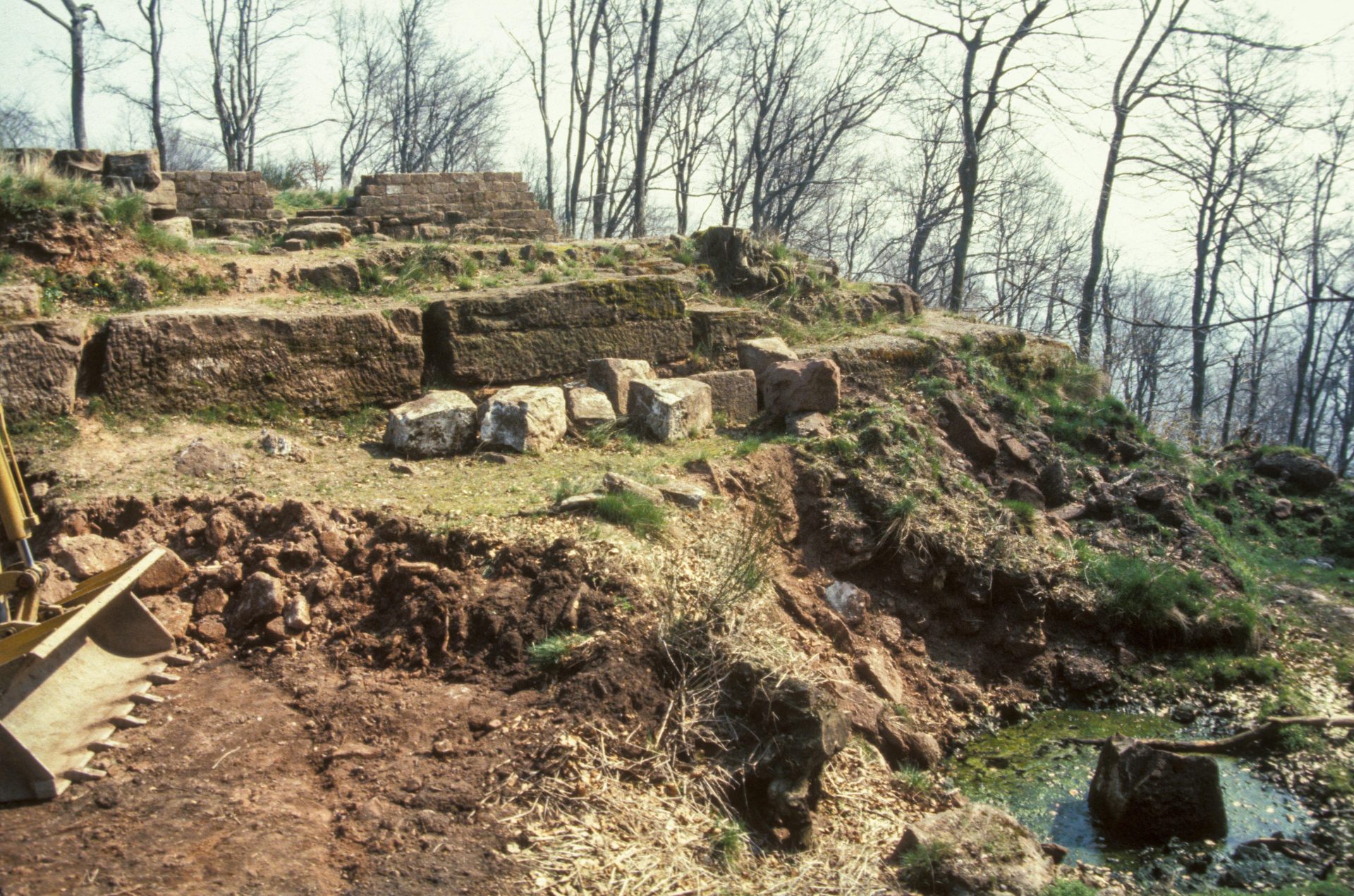 Diapositive - Daubenschlag-Warthenberg - 1988 - 18