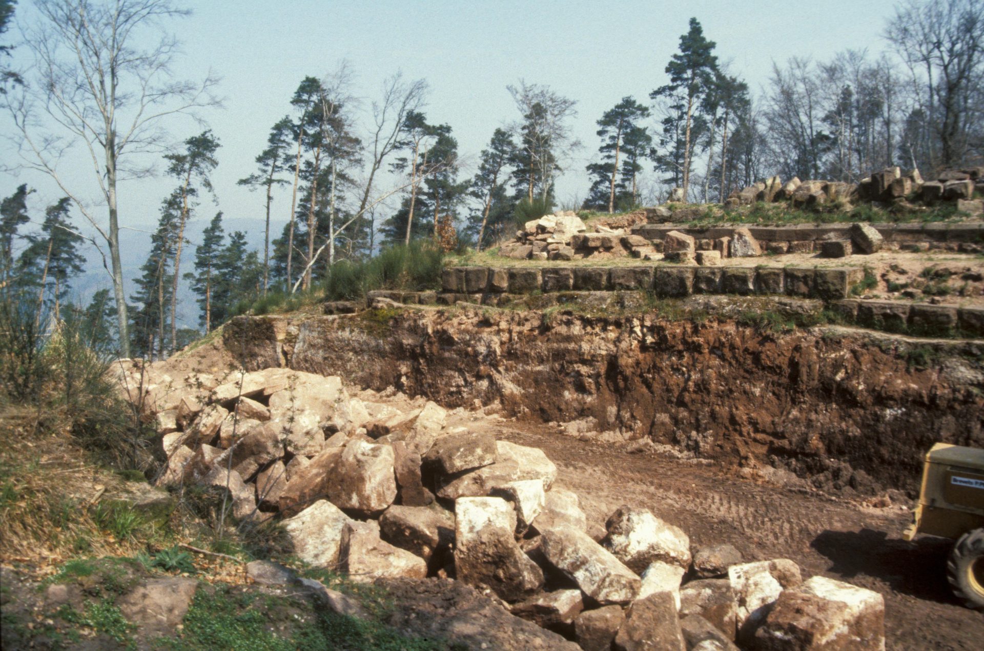Diapositive - Daubenschlag-Warthenberg - 1988 - 19