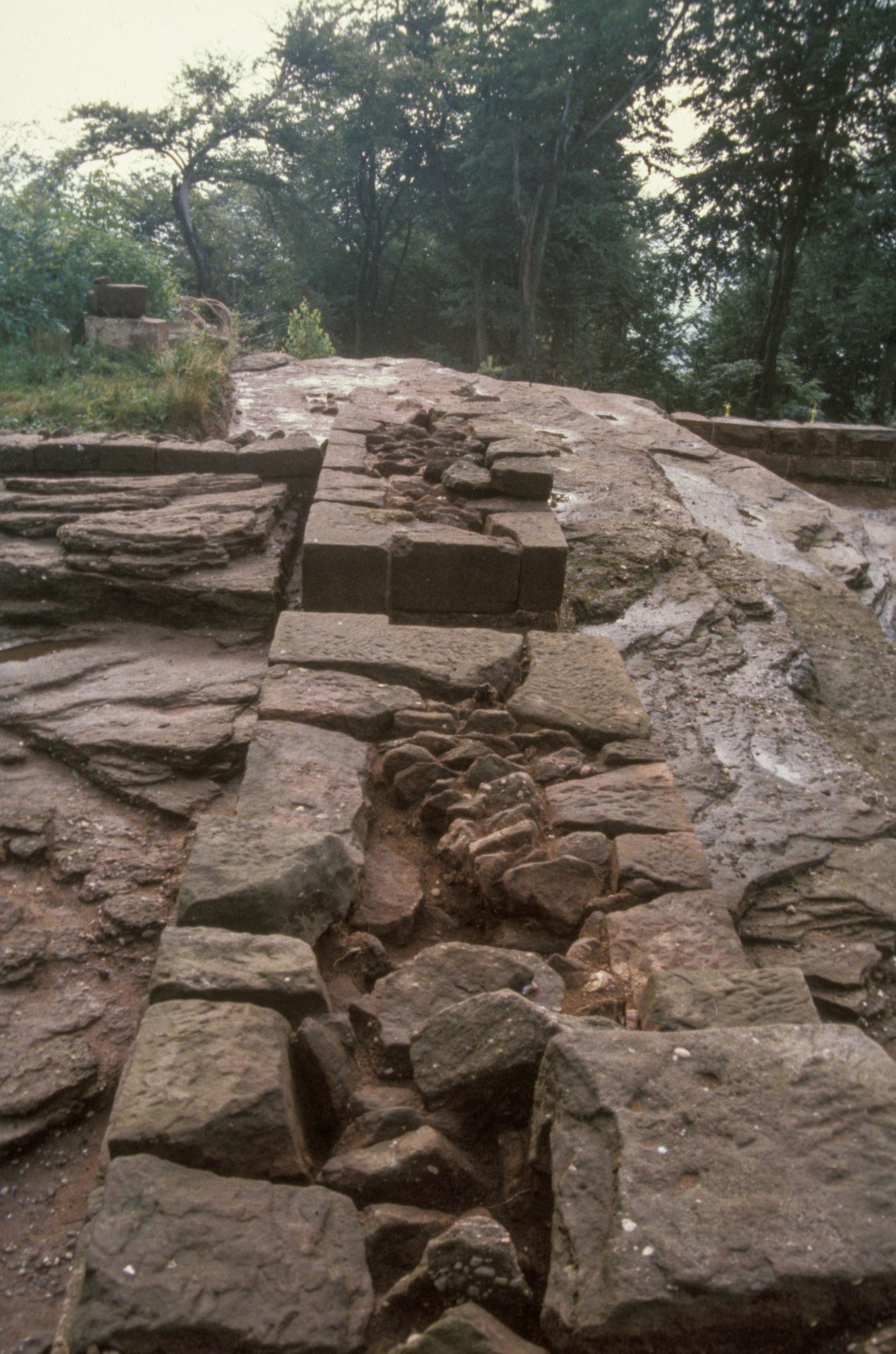 Diapositive - Daubenschlag-Warthenberg - 1987 - 14