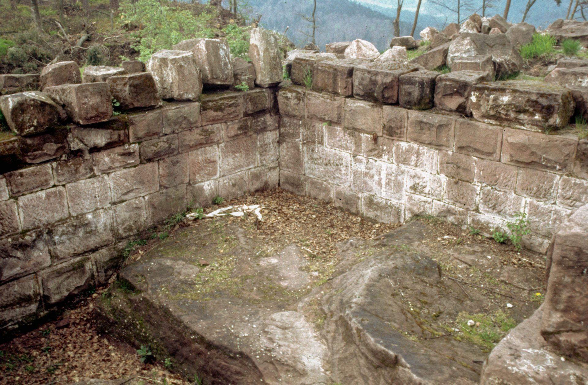 Diapositive - Daubenschlag-Warthenberg - 1986 - 12