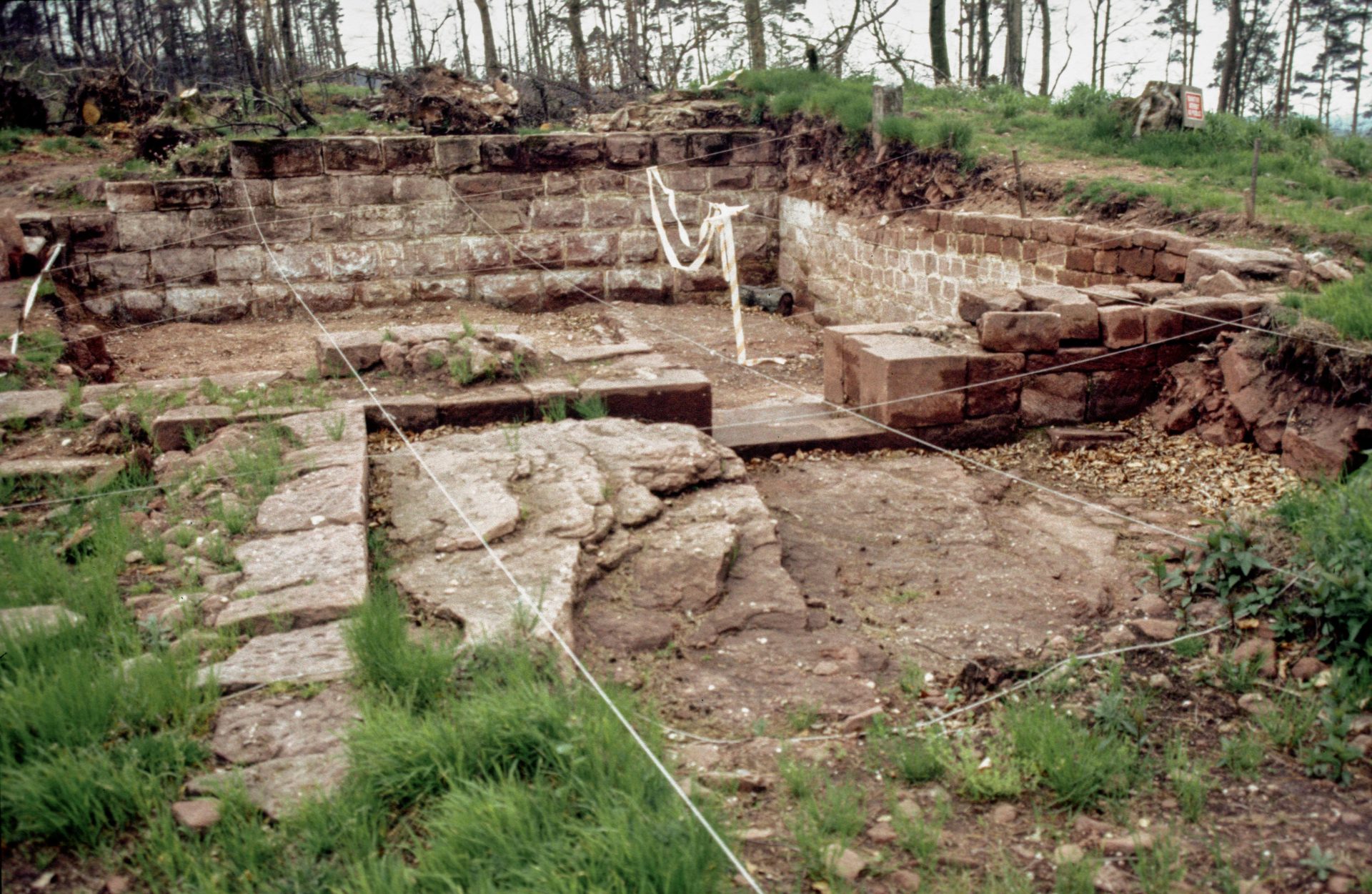 Diapositive - Daubenschlag-Warthenberg - 1986 - 18