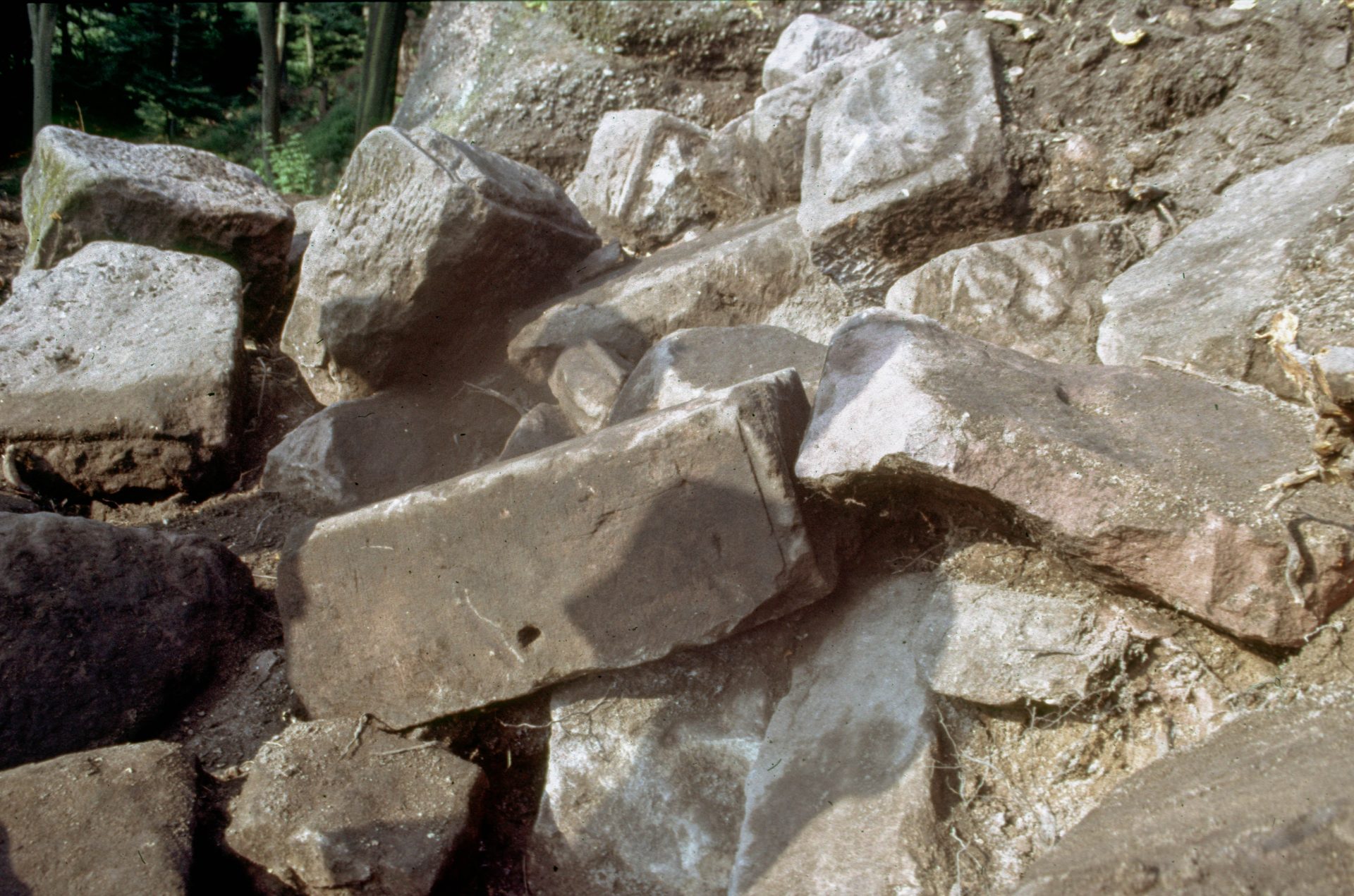 Diapositive - Daubenschlag-Warthenberg - 1986 - 26