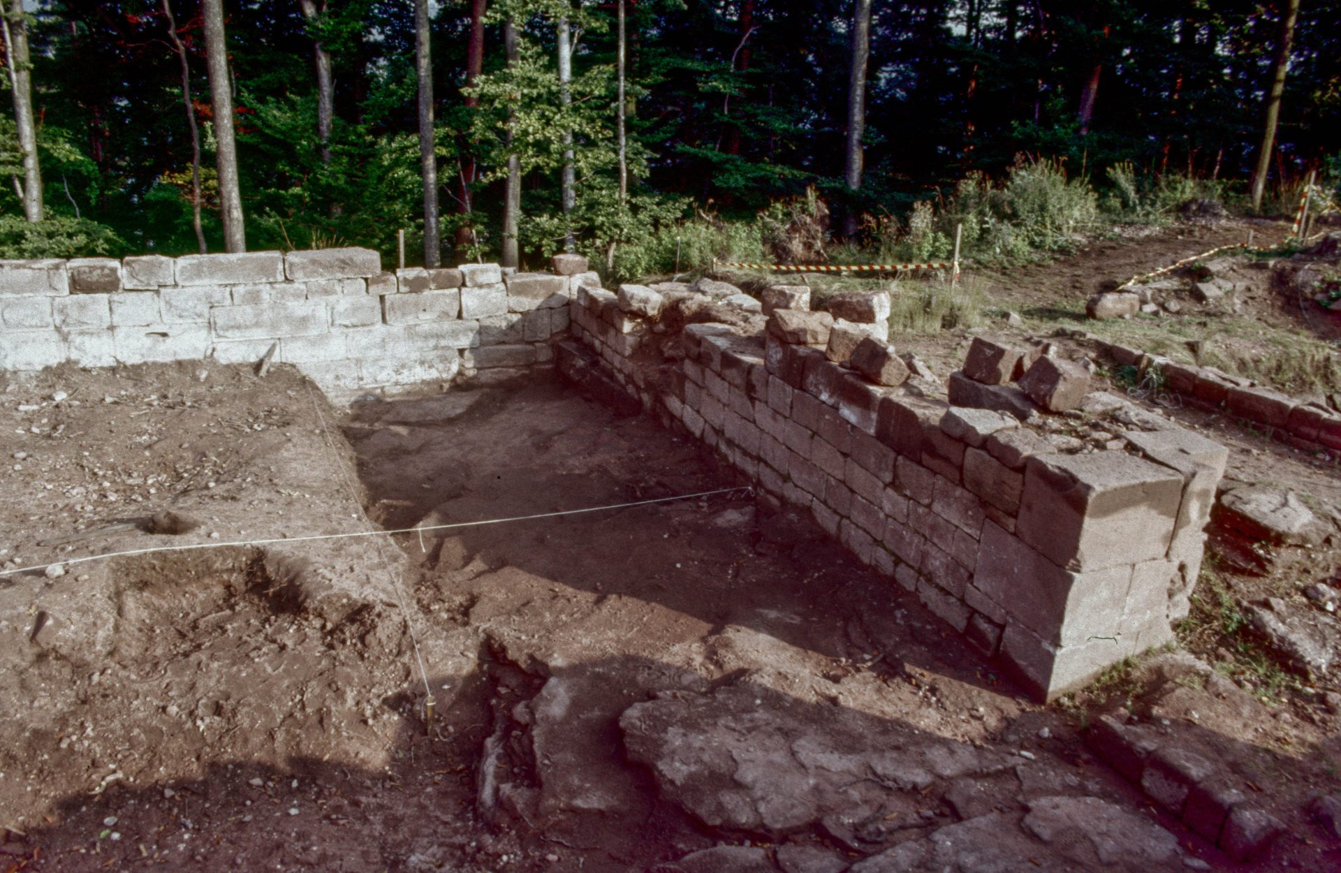 Diapositive - Daubenschlag-Warthenberg - 1986 - 28