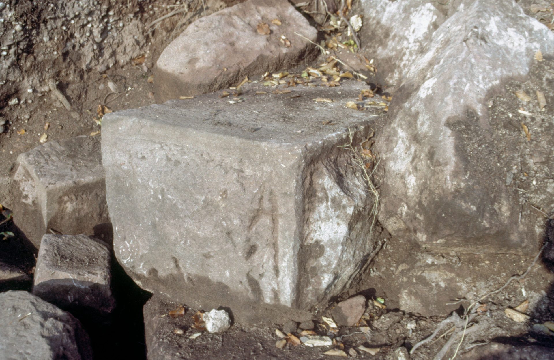 Diapositive - Daubenschlag-Warthenberg - 1986 - 29