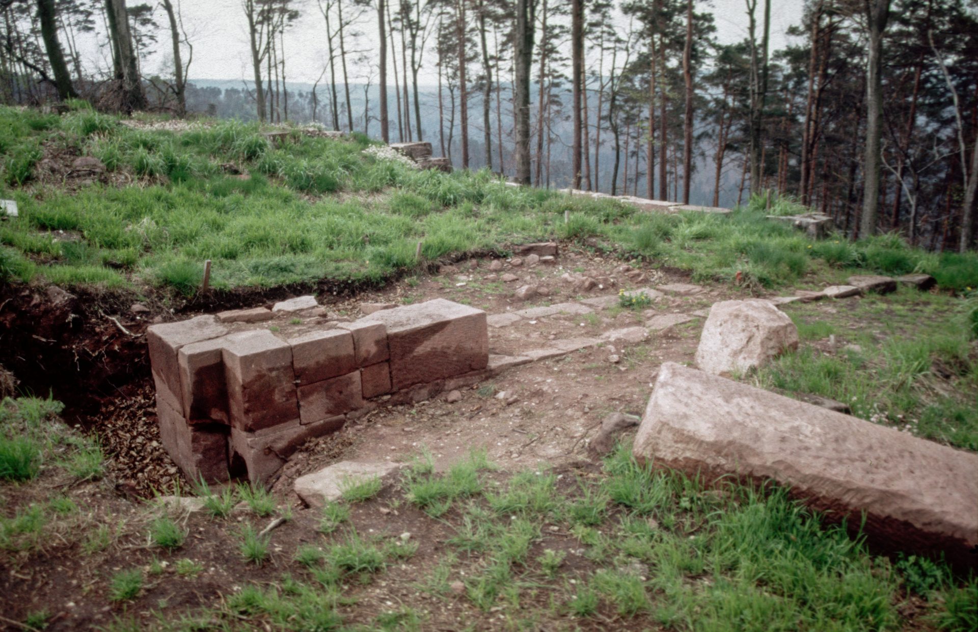 Diapositive - Daubenschlag-Warthenberg - 1986 - 32